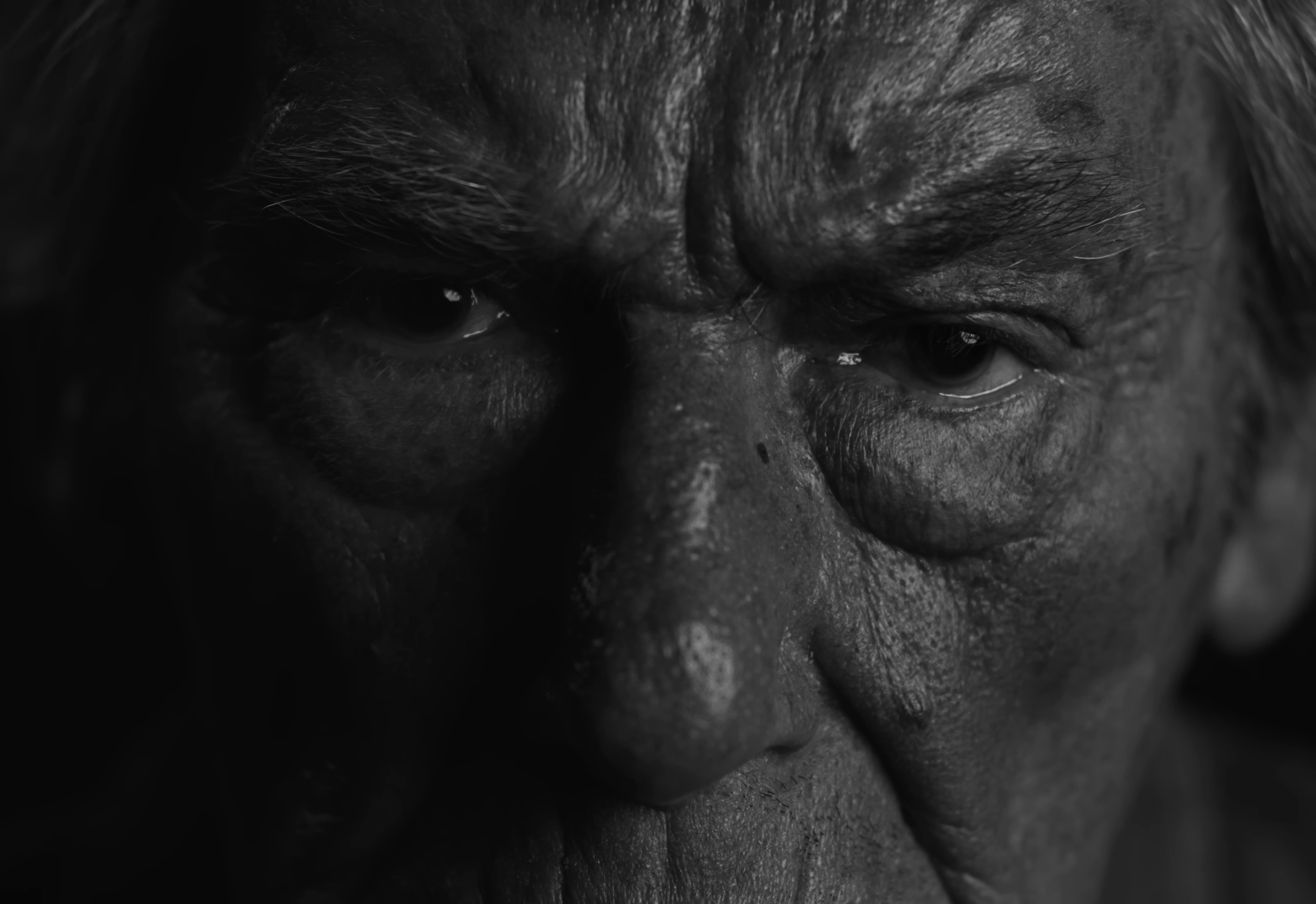 Work of Art (2024) —  shot,  lighting