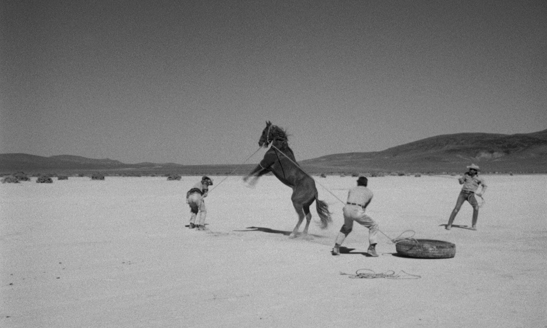 The Misfits (1961) —  shot,  lighting