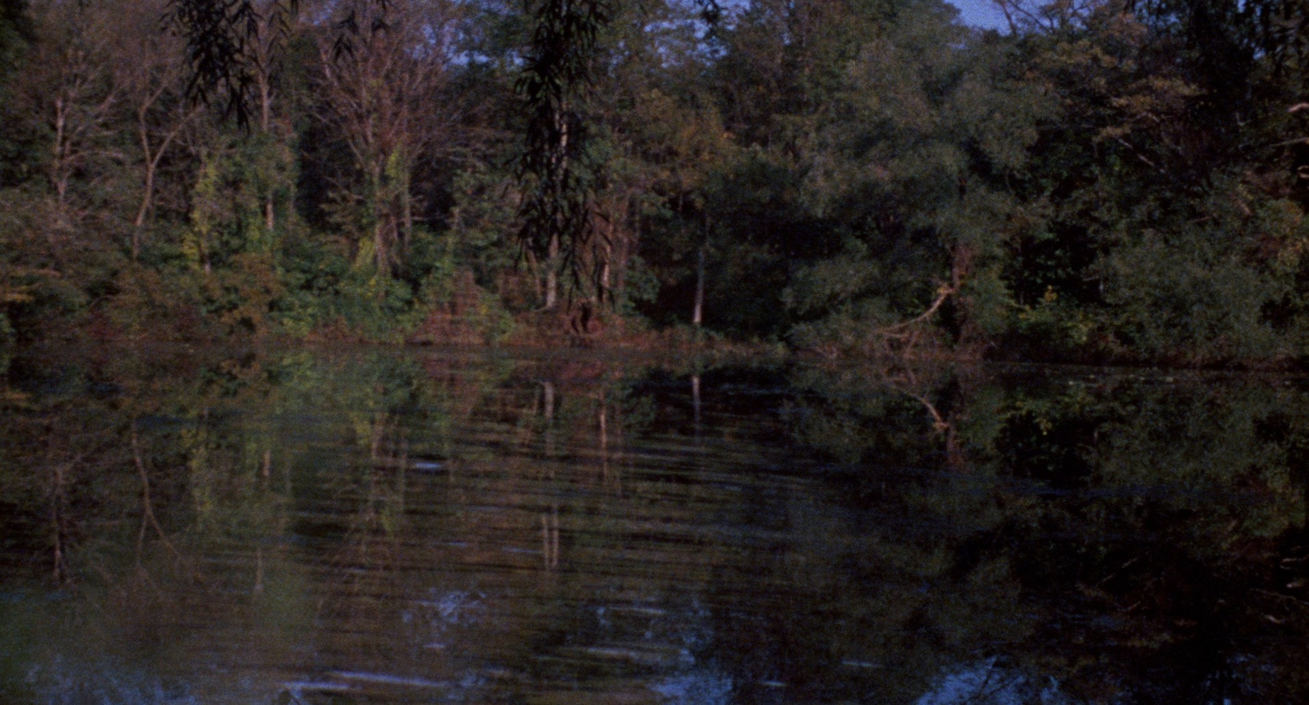 The Last House on the Left (1972) —  shot,  lighting