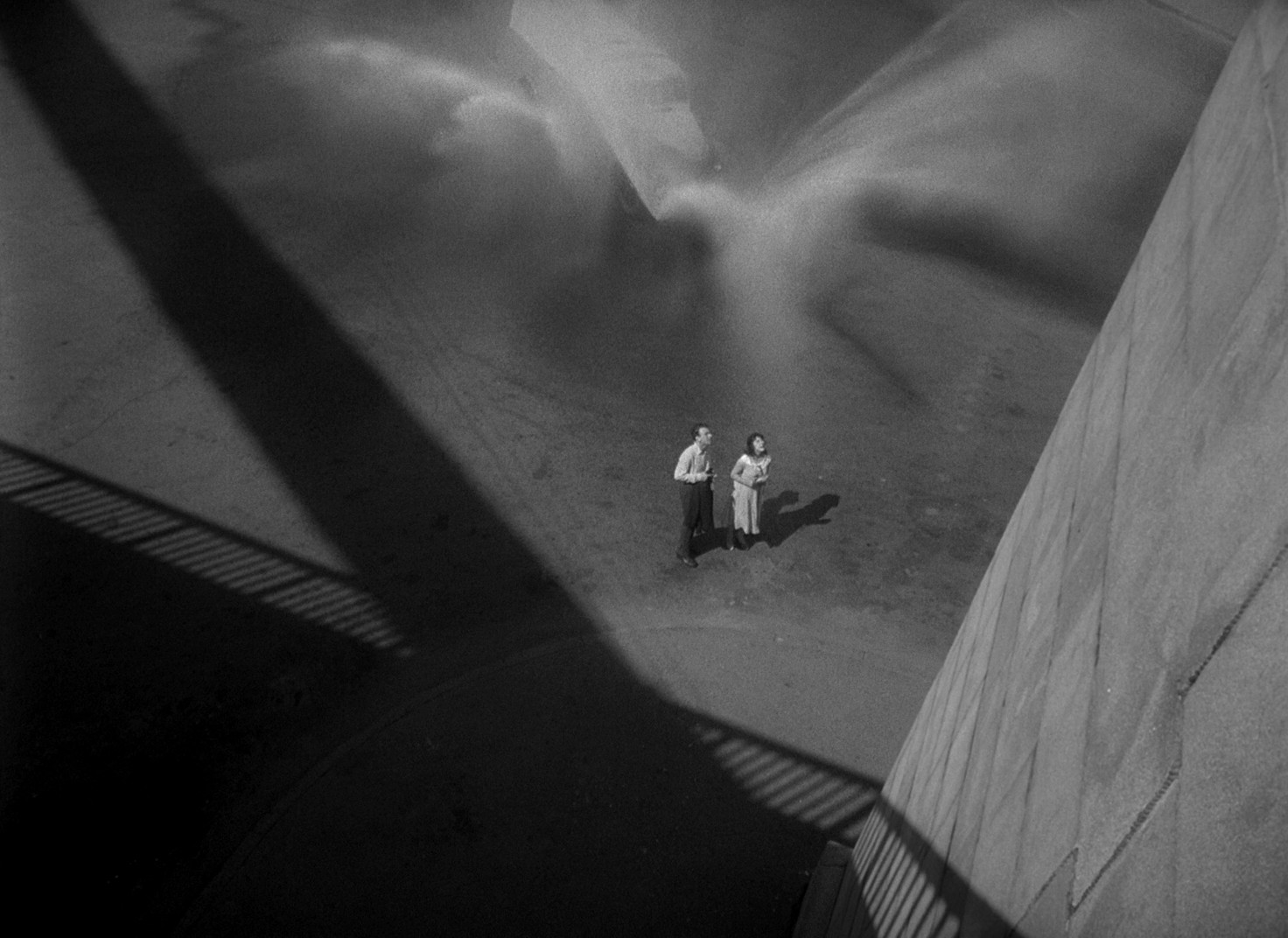 The Cranes Are Flying (1957) —  shot,  lighting