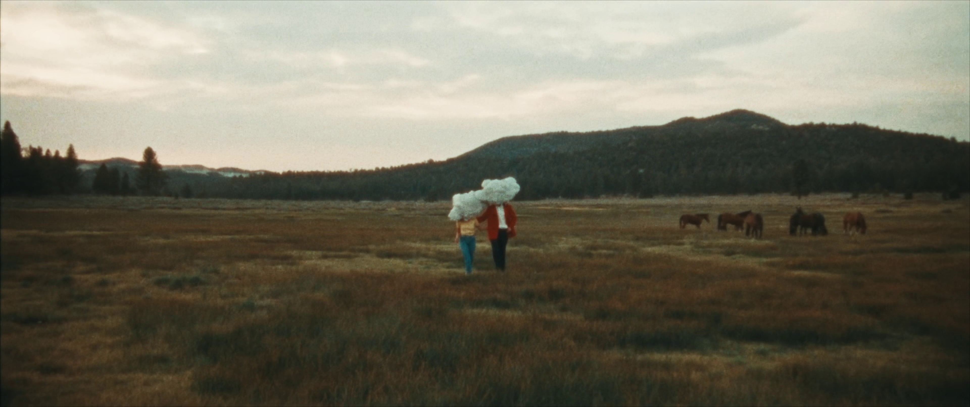 Head In The Clouds (2021) —  shot,  lighting