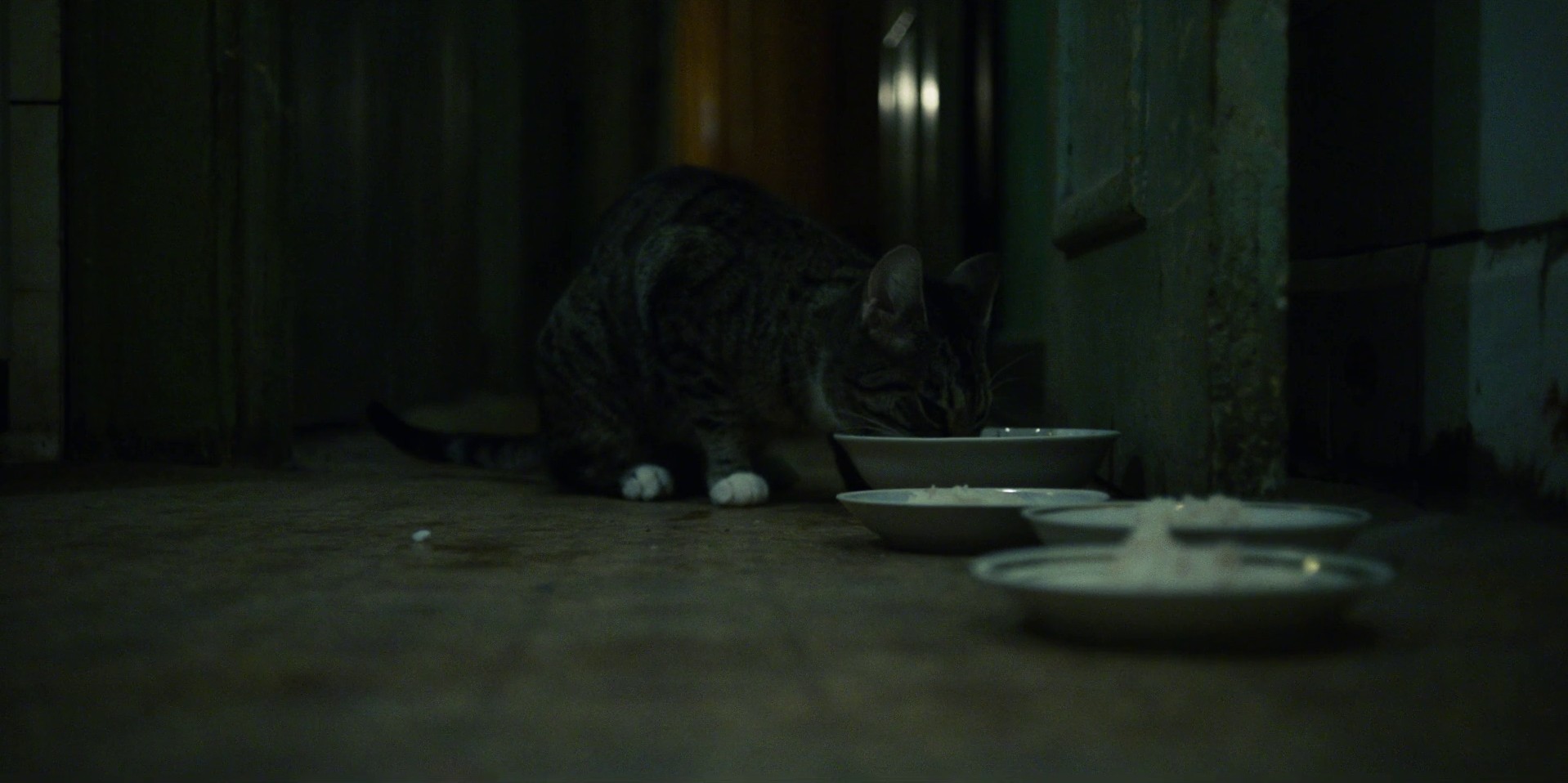 1:23:45 (2019) —  shot,  lighting