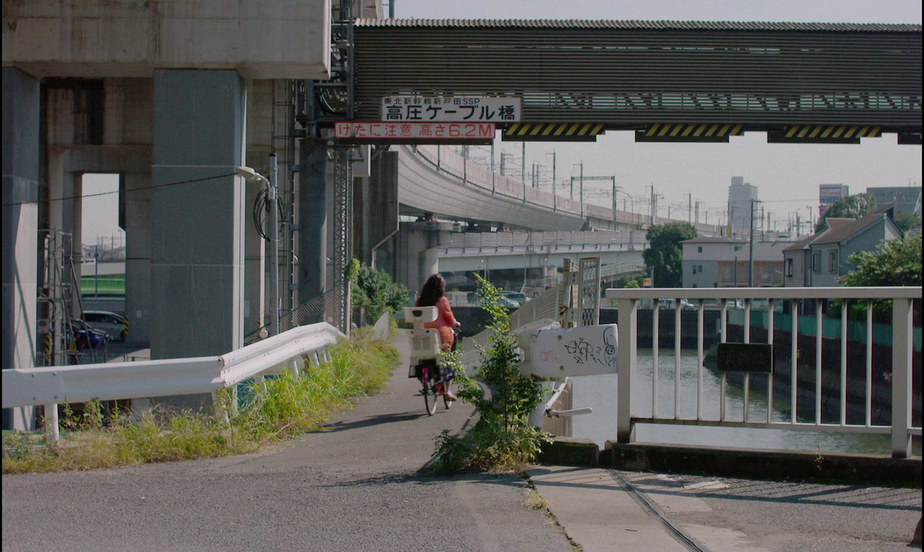 Harmonium (2016) —  shot,  lighting