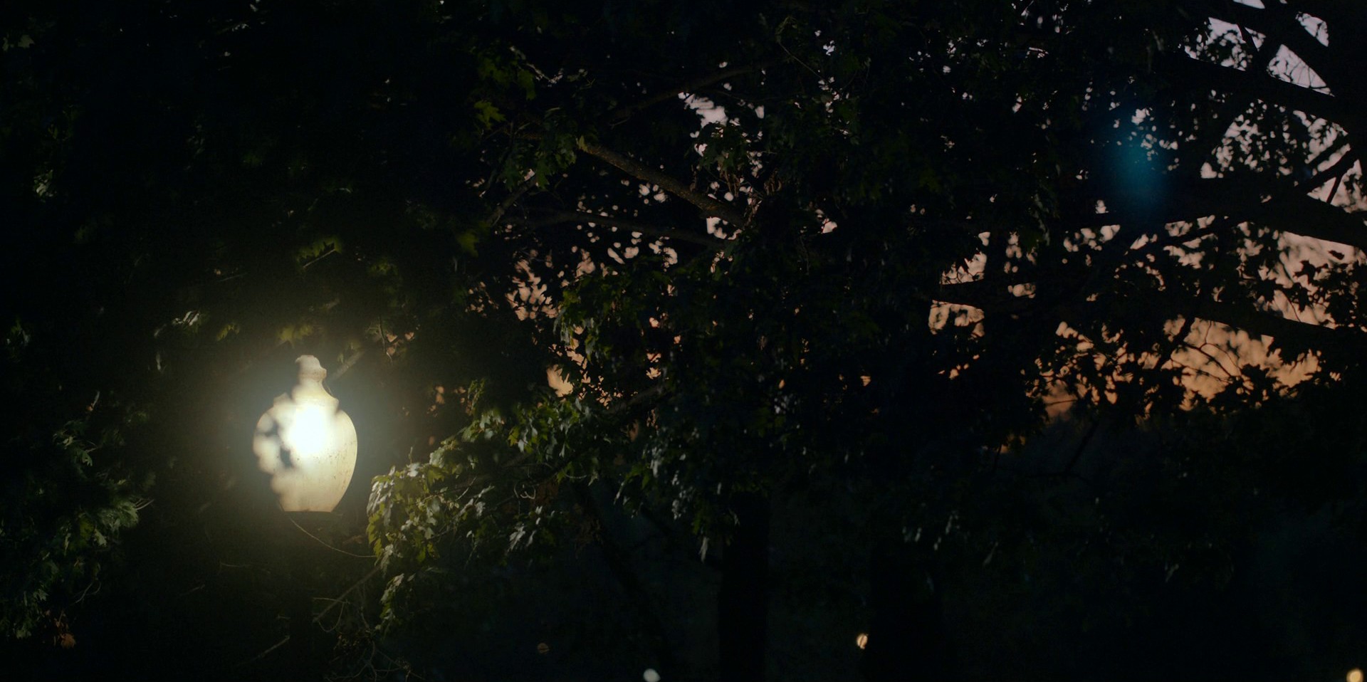 Please Allow Me (2022) —  shot,  lighting