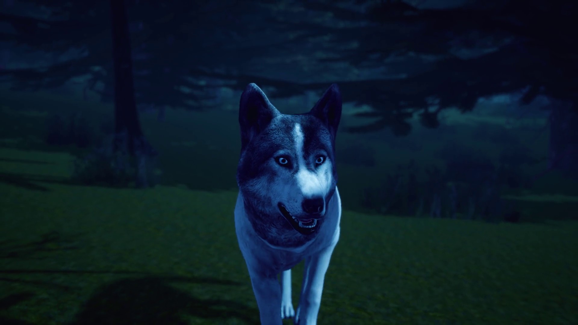 Fangs Out (2018) —  shot,  lighting