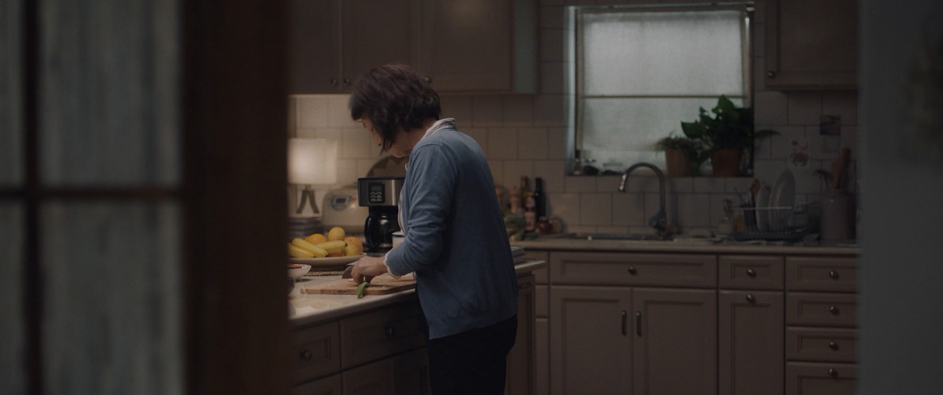 The Farewell (2019) —  shot,  lighting