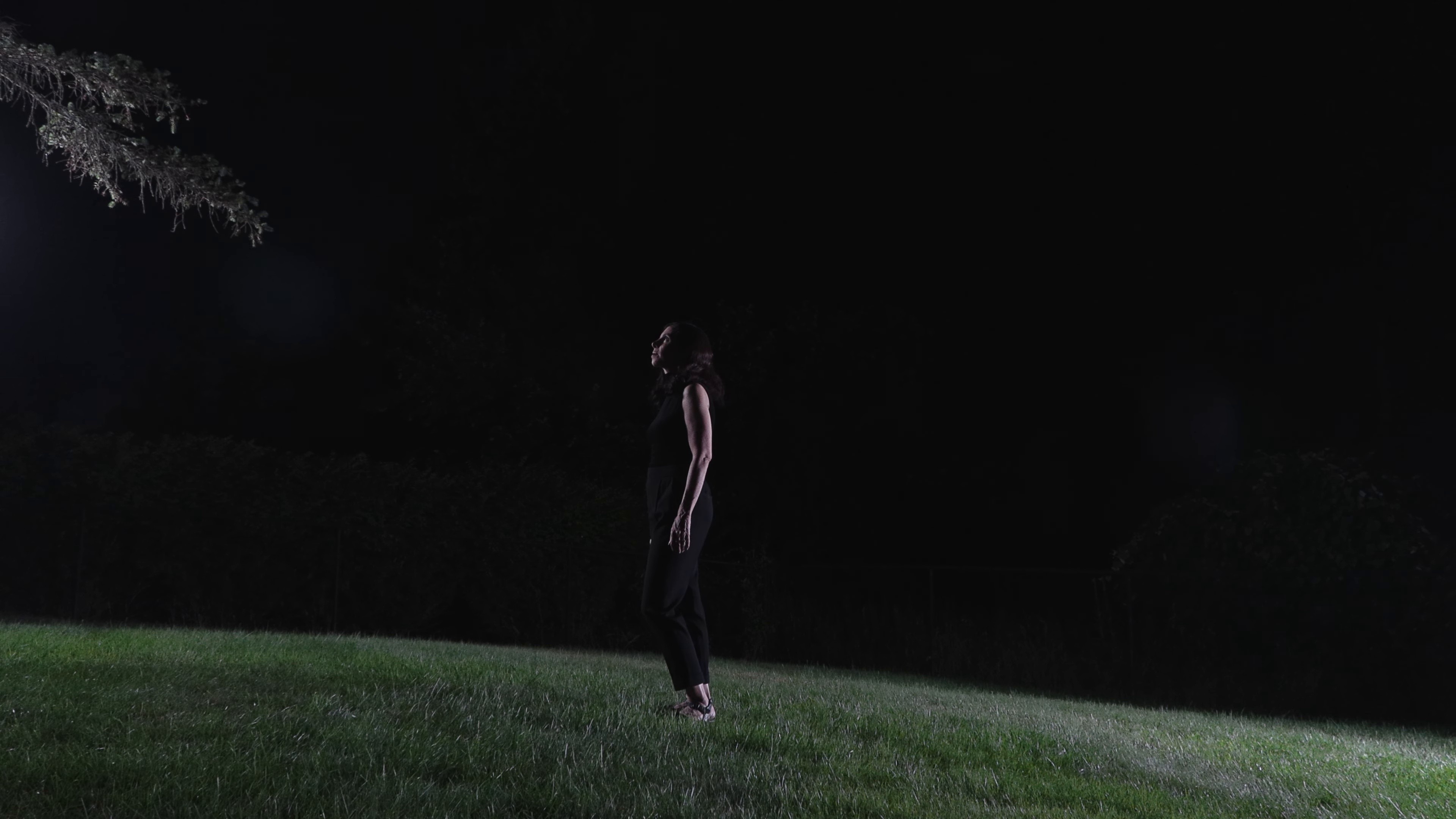 As Tendrils of Smoke (2024) —  shot,  lighting