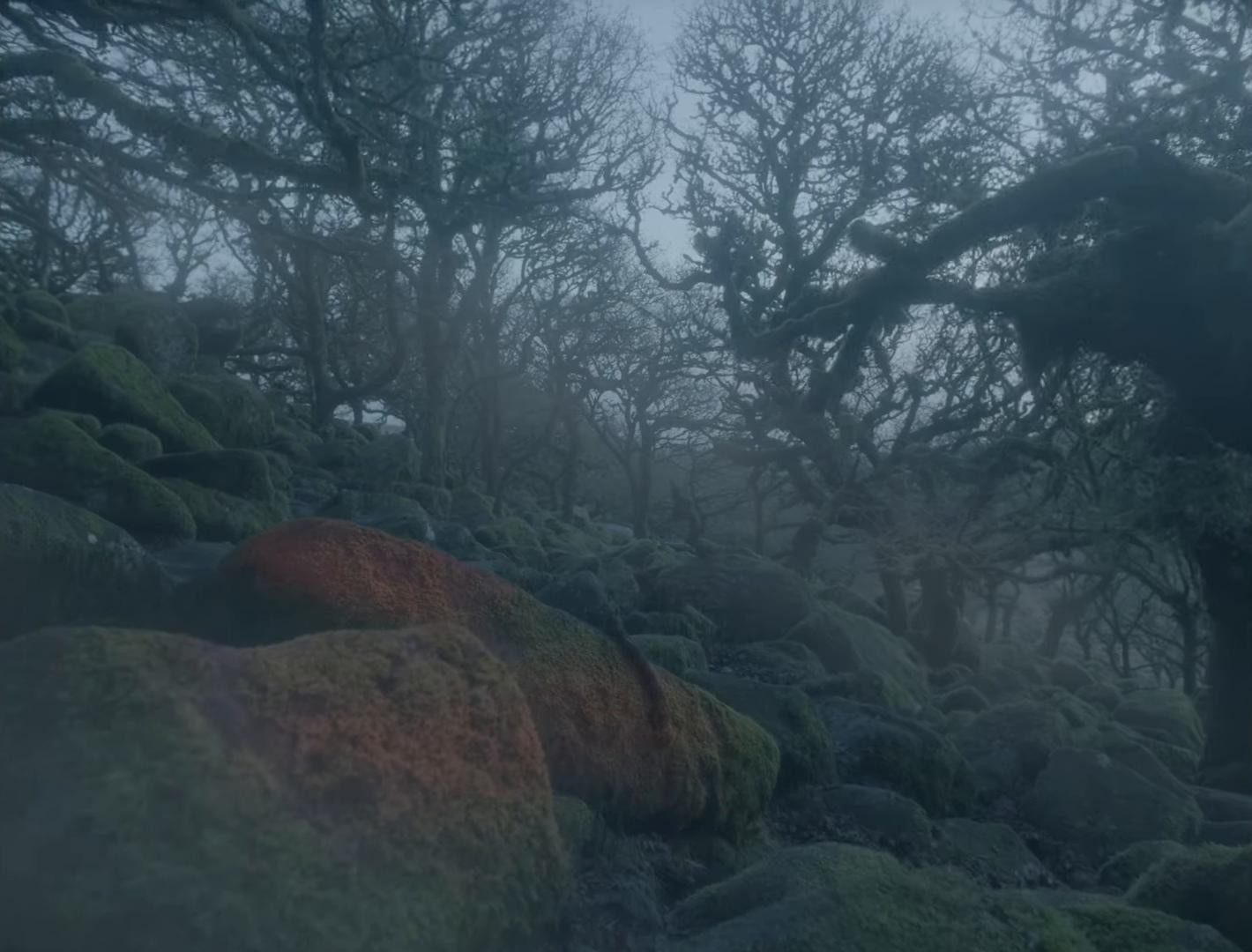 Please Take Care (2021) —  shot,  lighting