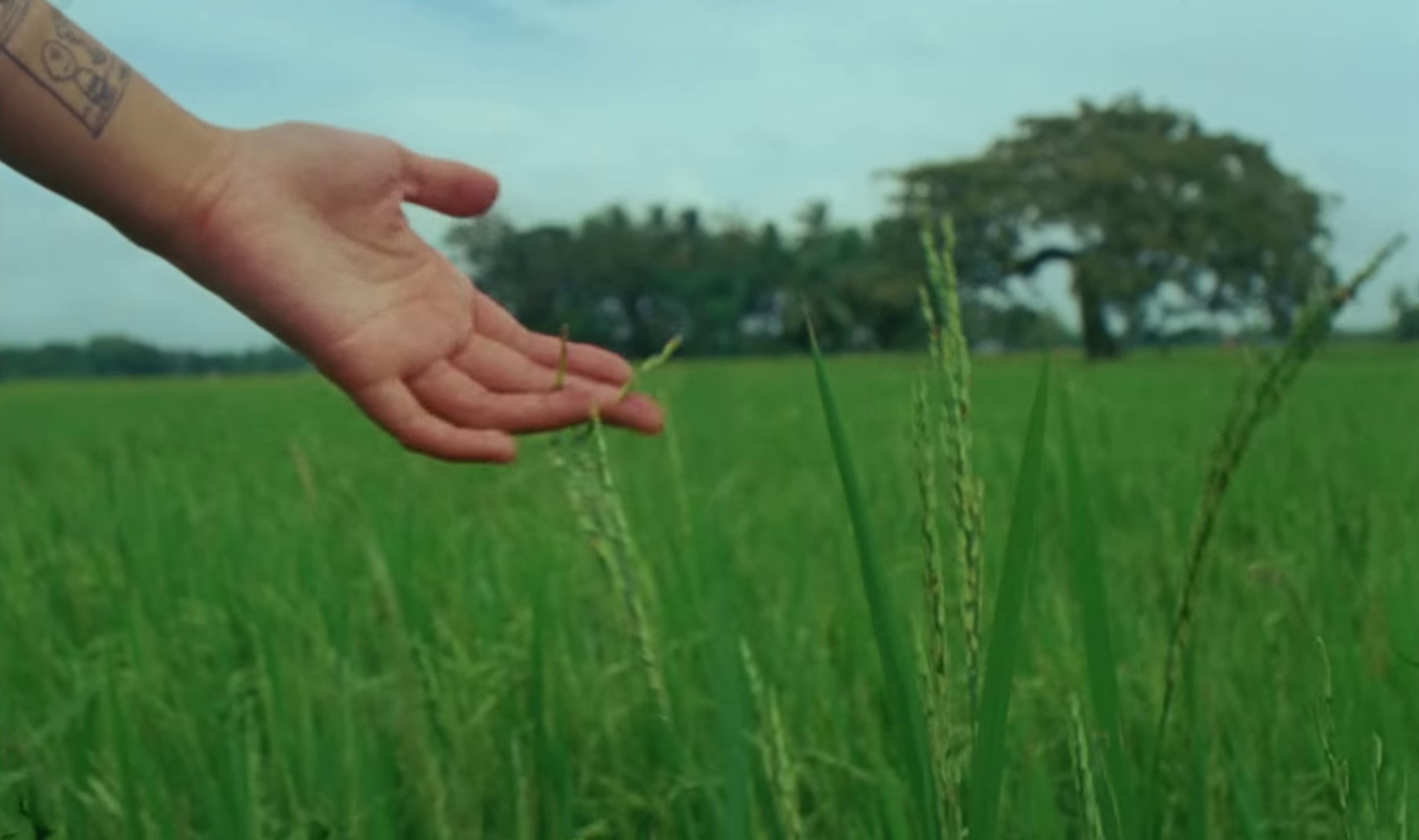 Glue Song (2023) —  shot,  lighting