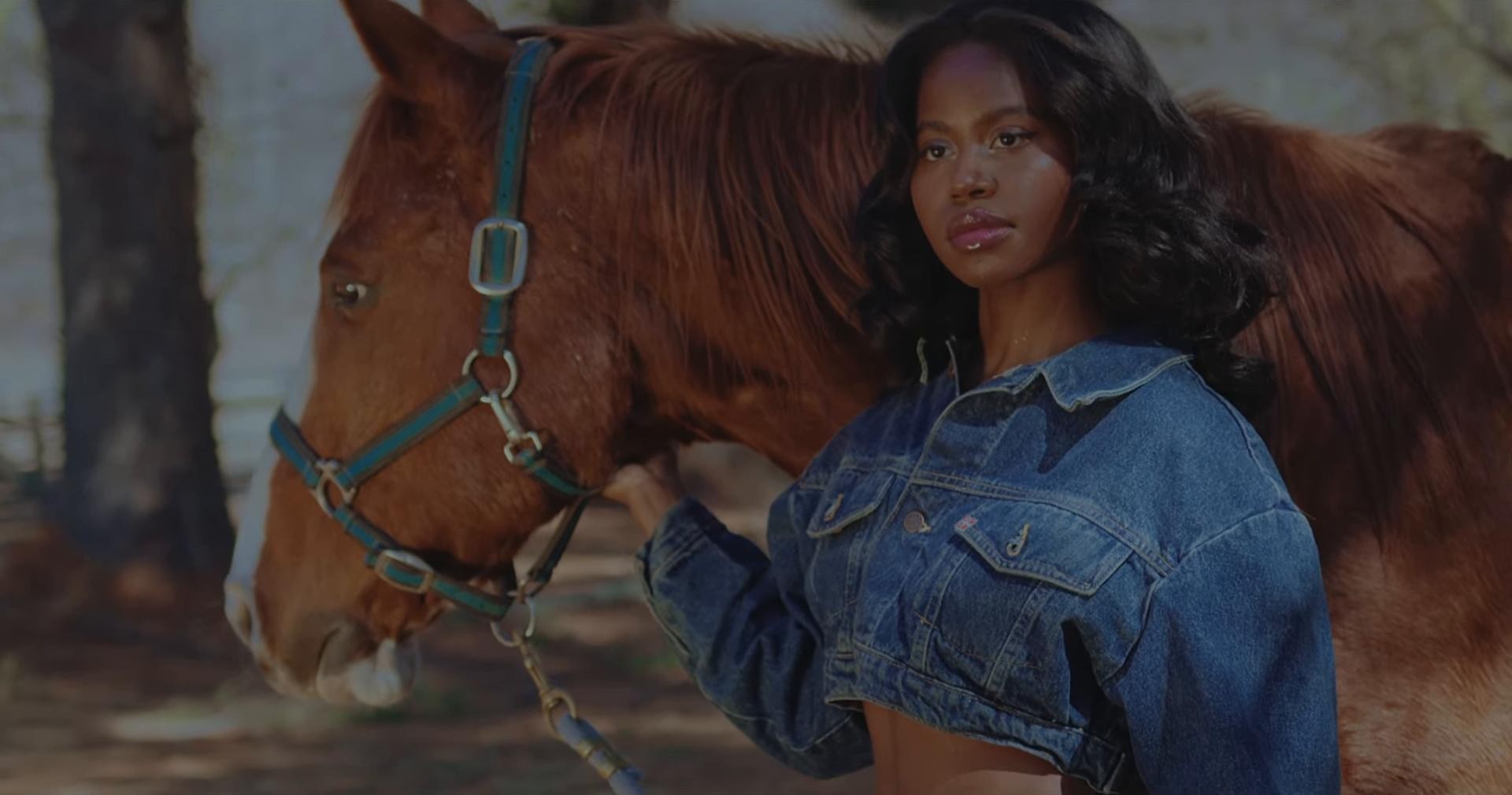 American Love Song (2025) —  shot,  lighting