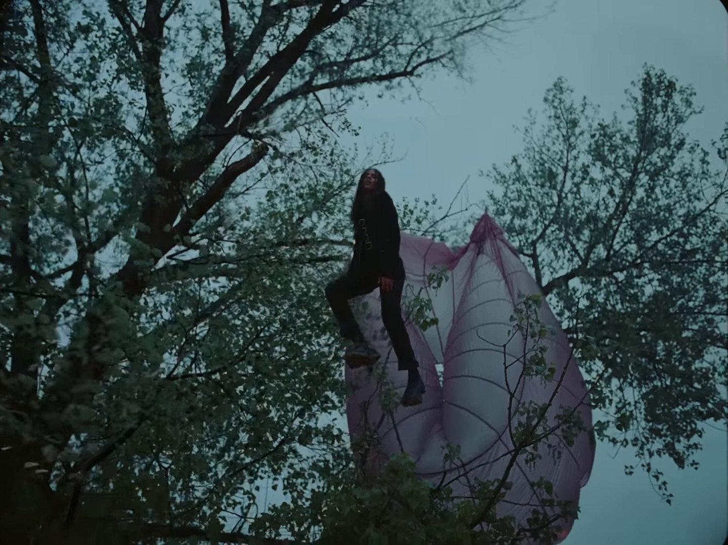 Black Dress (2023) —  shot,  lighting