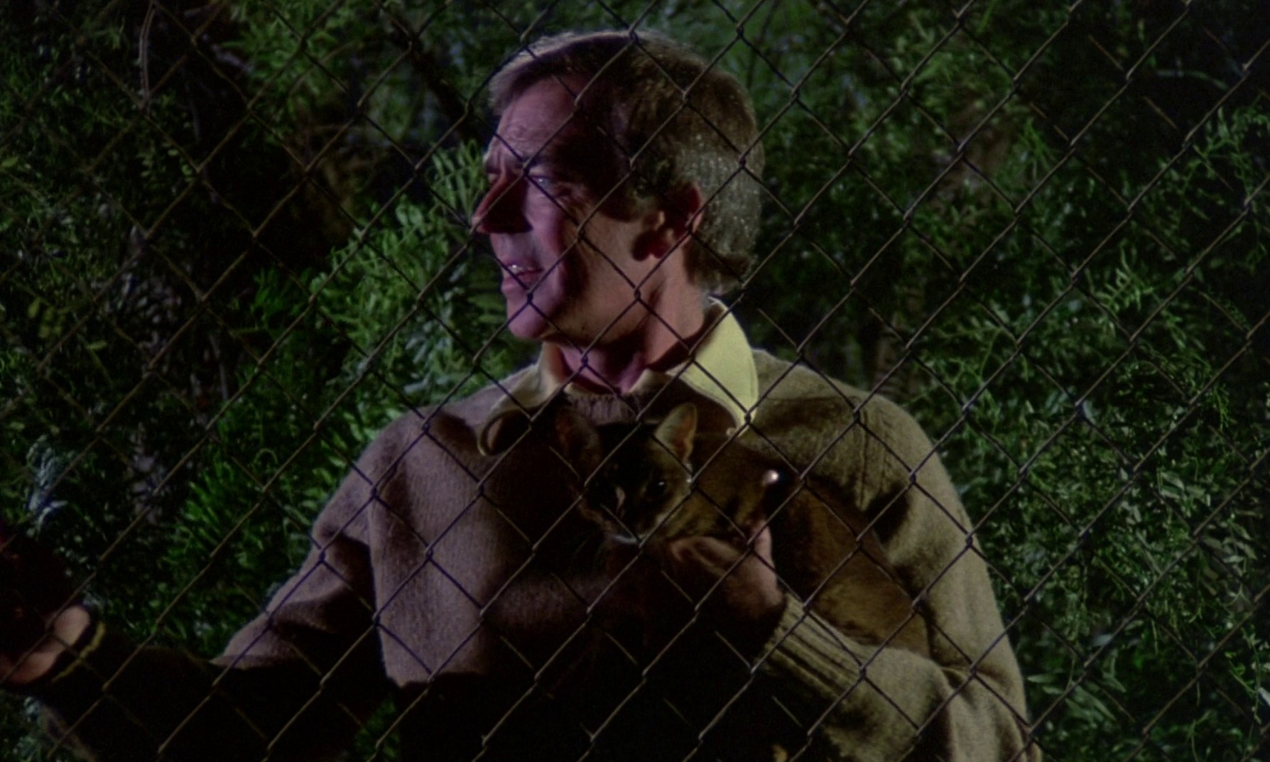 The Cat from Outer Space (1978) —  shot,  lighting