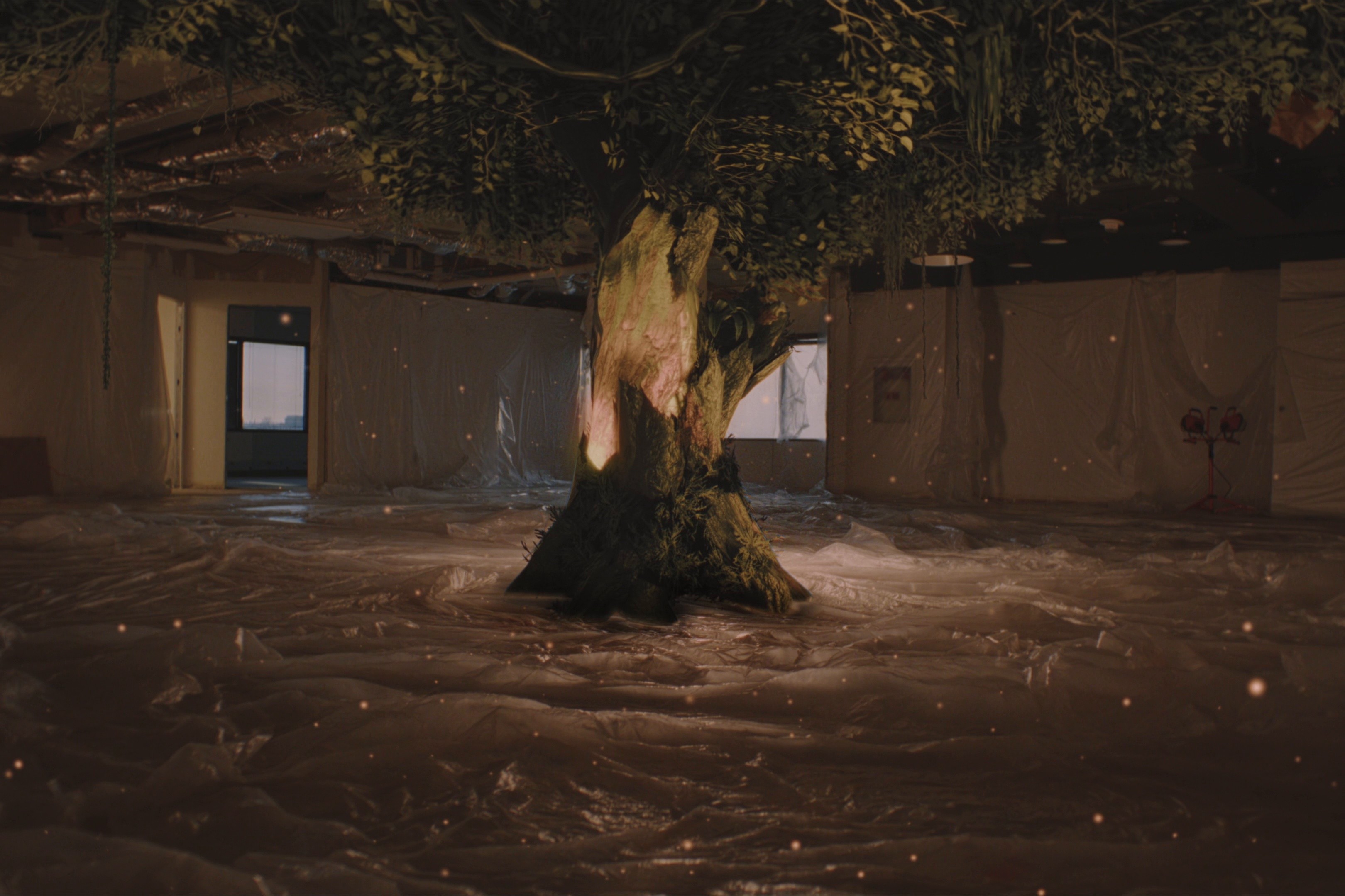 Divine Thing (2025) —  shot,  lighting