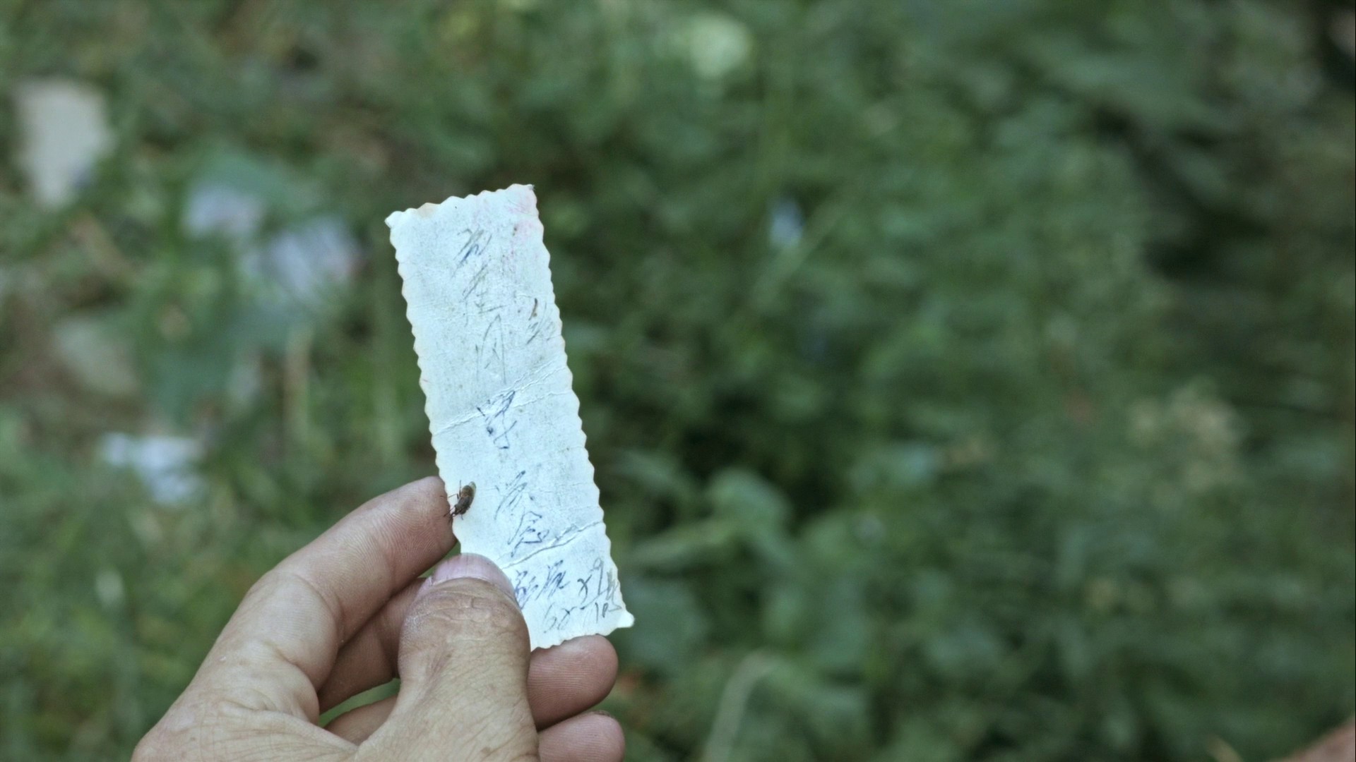 Kaili Blues (2016) —  shot,  lighting