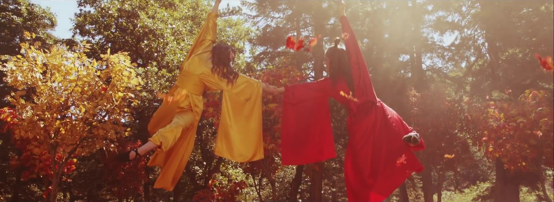 Gust of Wind  (2014) —  shot,  lighting