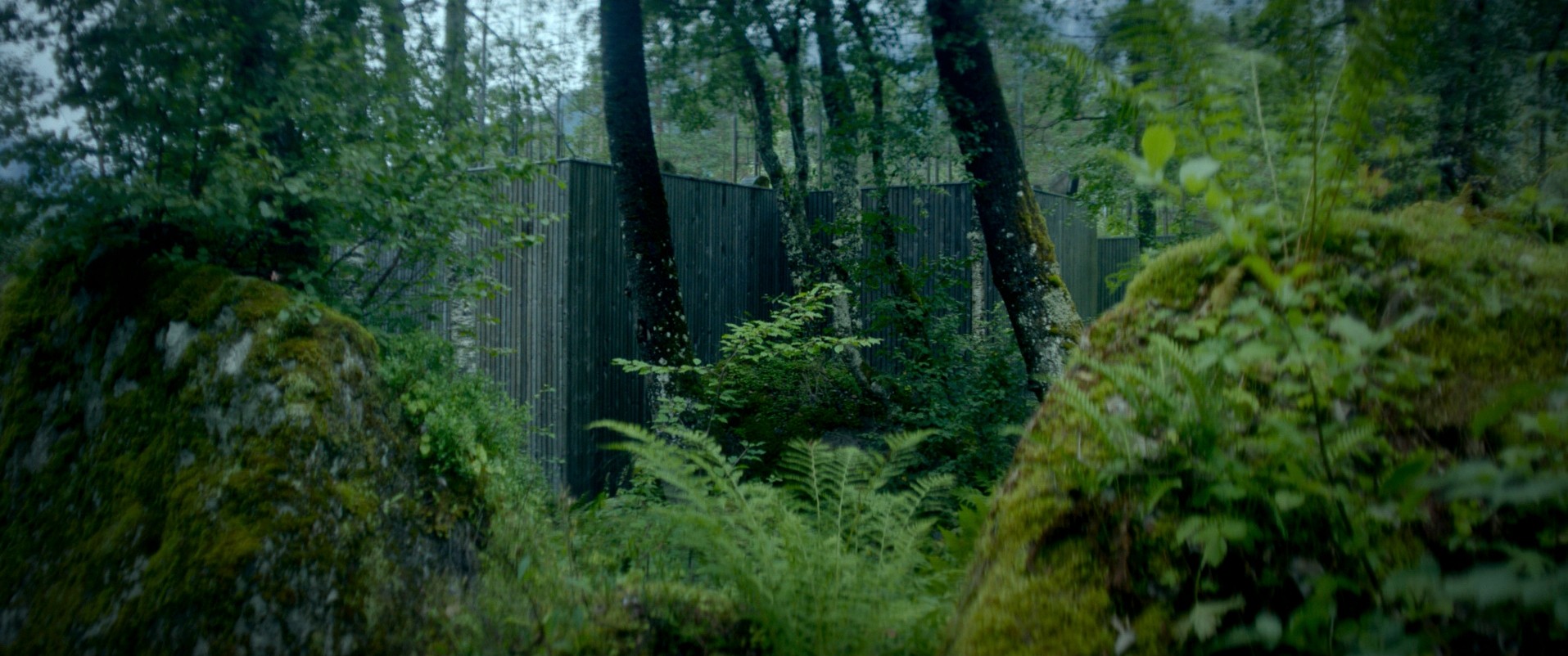 Ex Machina (2014) —  shot,  lighting