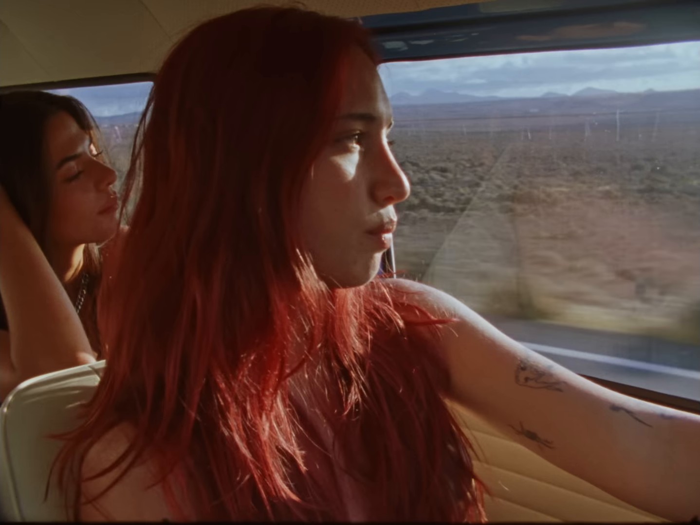 ESTATE 80 (2024) —  shot,  lighting