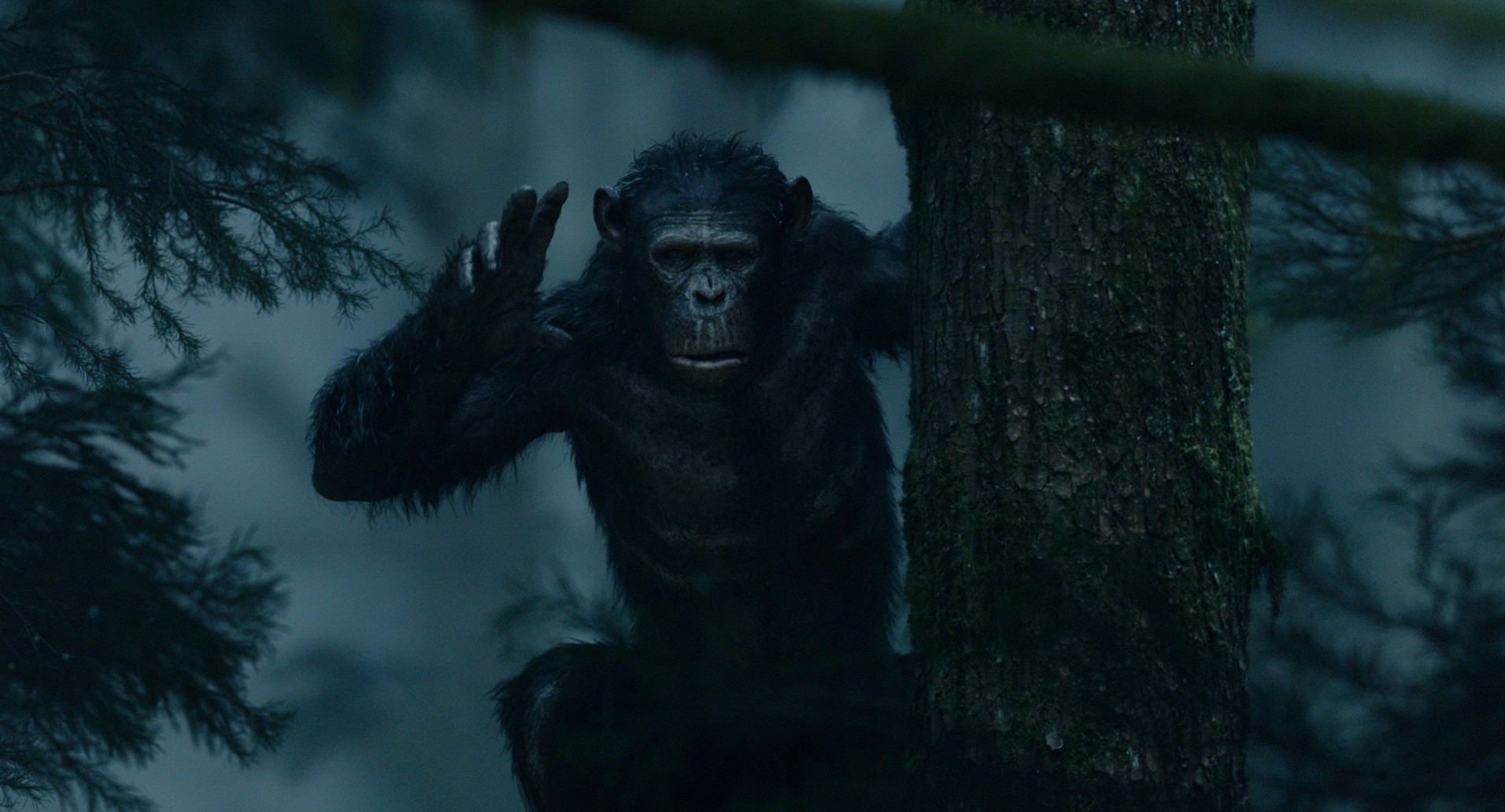 Dawn of the Planet of the Apes (2014) —  shot,  lighting
