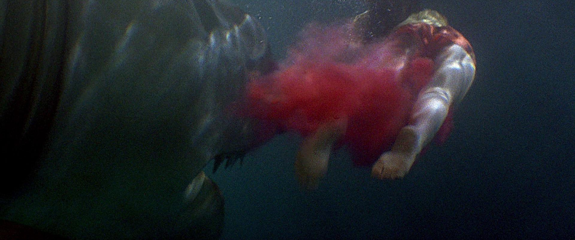 Jaws 3-D (1983) —  shot,  lighting