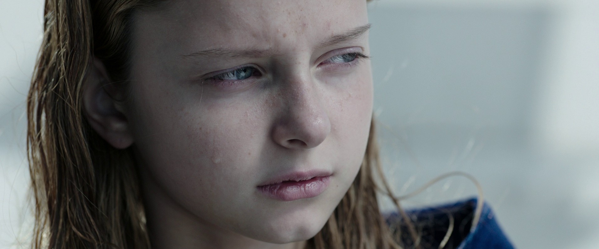 Crawl (2019) —  shot,  lighting