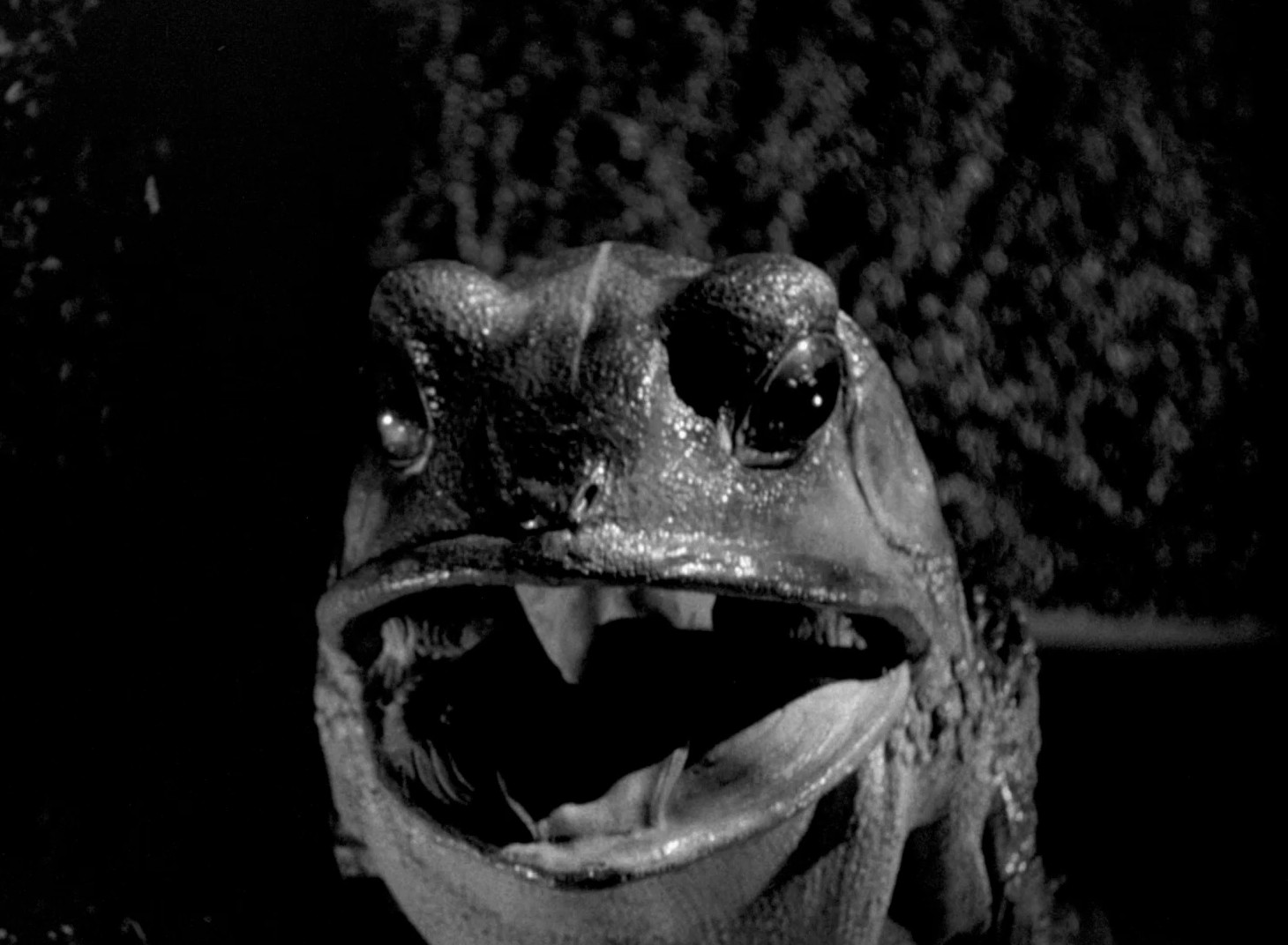 The Maze (1953) —  shot,  lighting