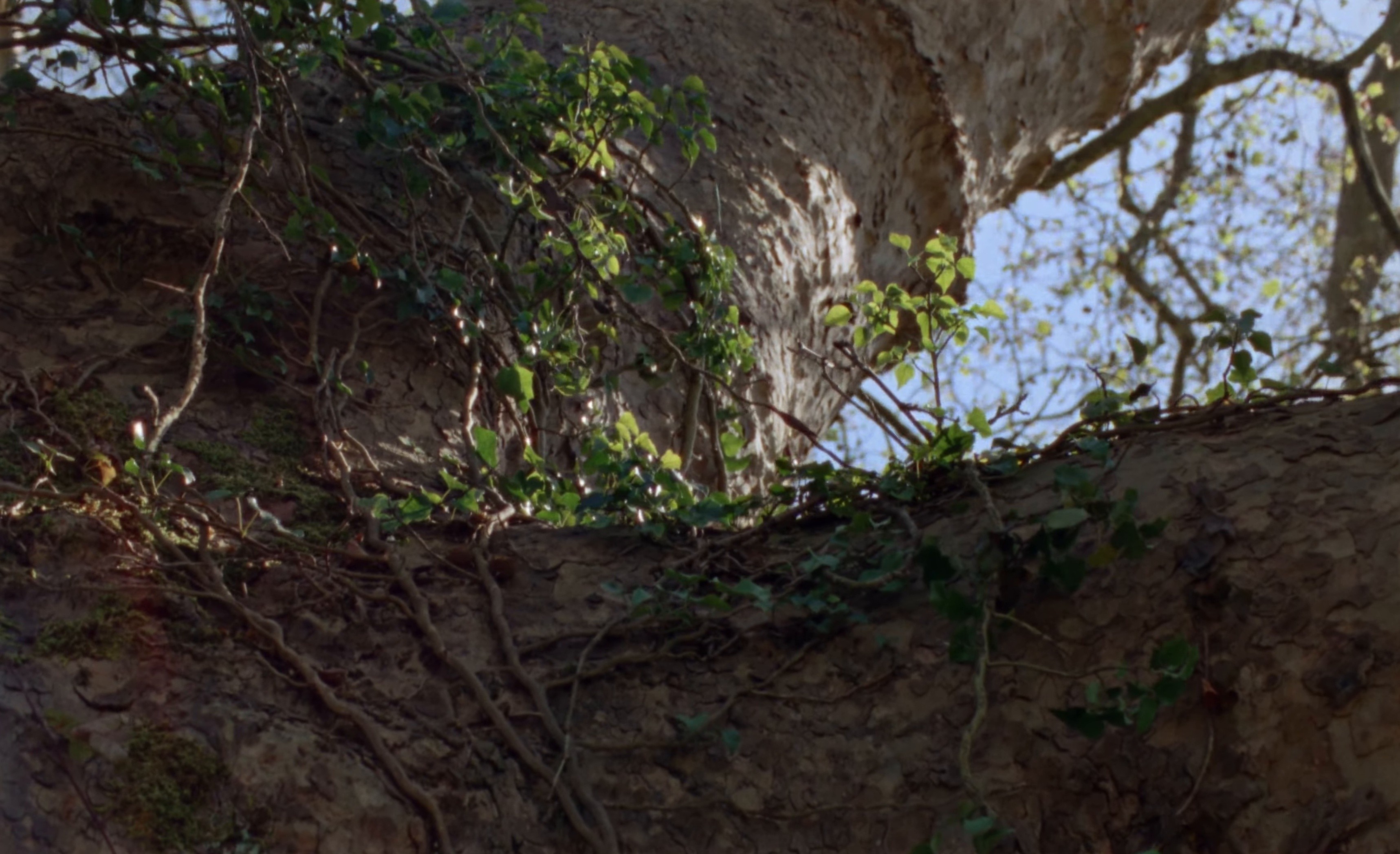 Casse-toi (2025) —  shot,  lighting