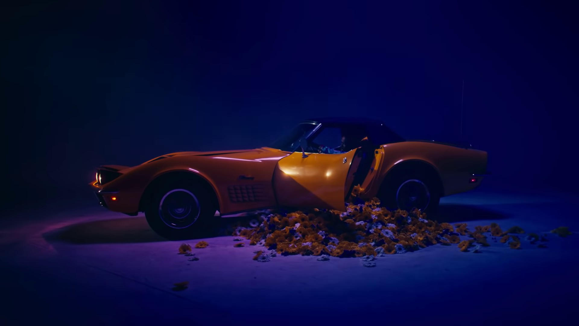 POLLEN (2021) —  shot,  lighting