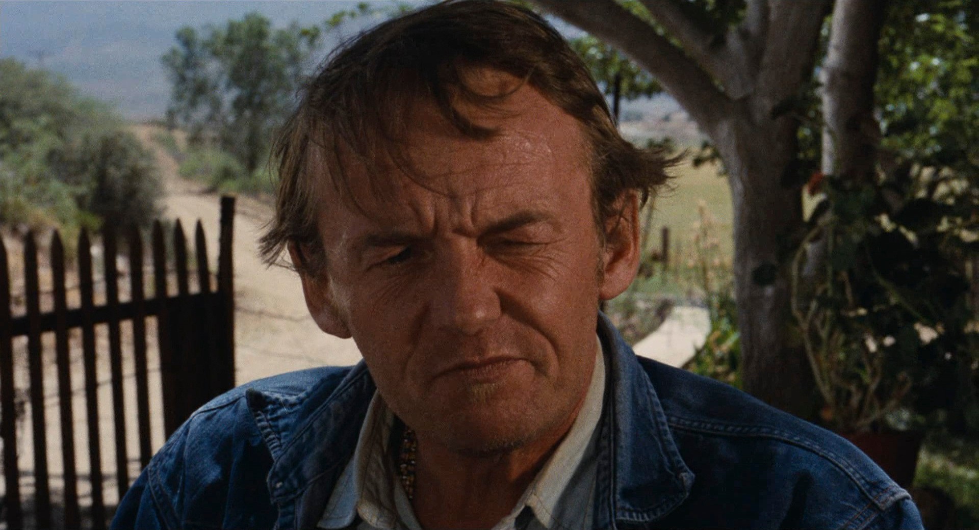 Easy Rider (1969) —  shot,  lighting