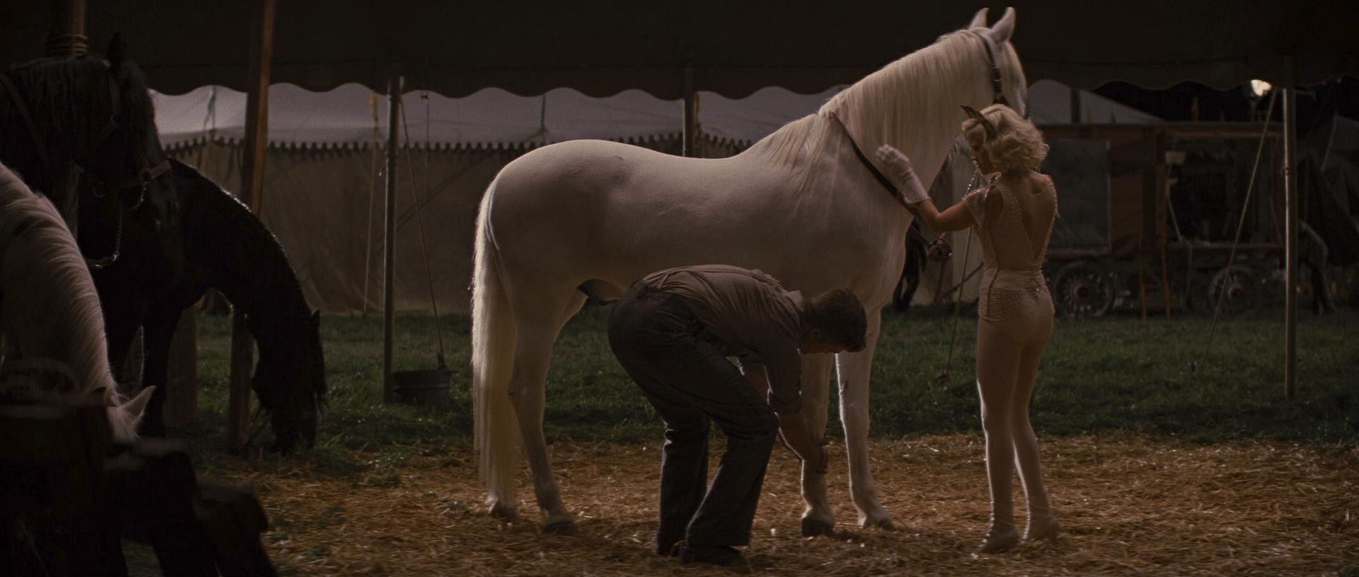 Water for Elephants (2011) —  shot,  lighting