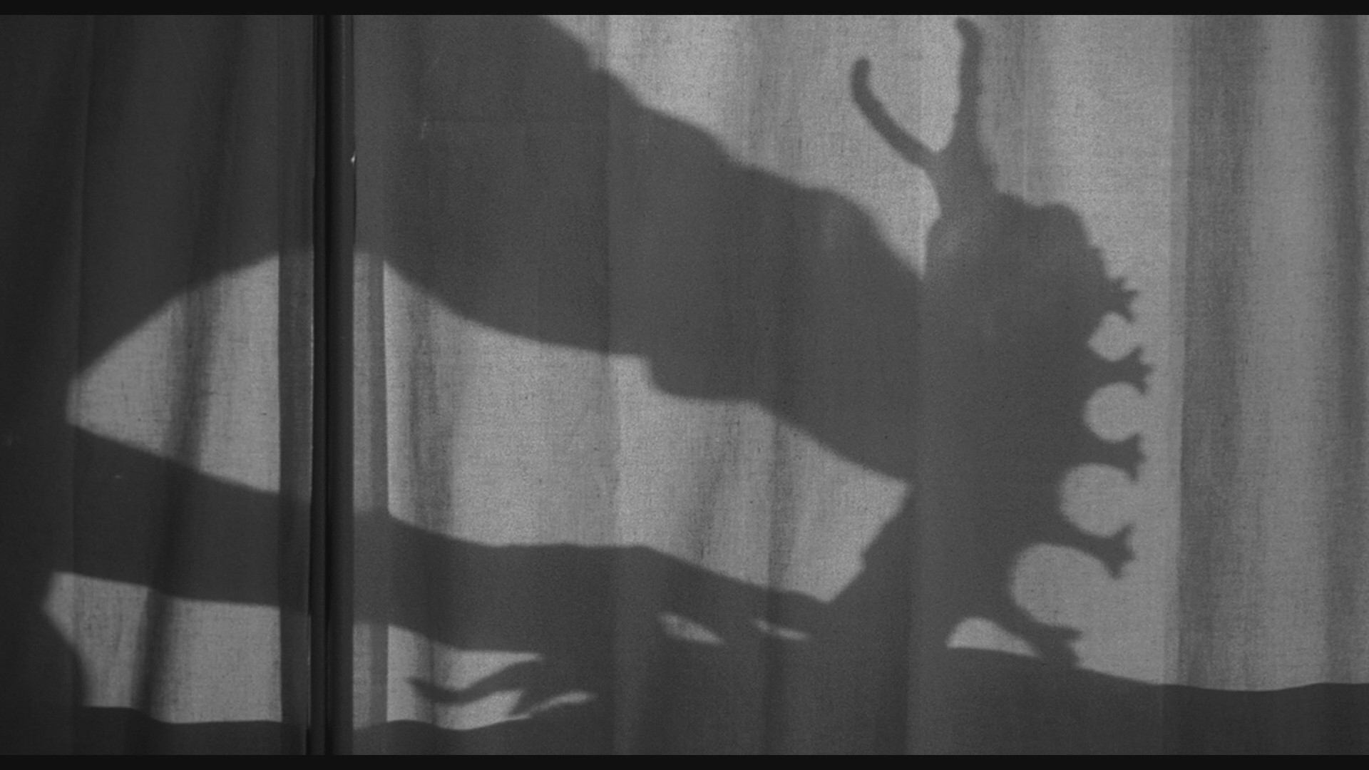 The Tingler (1959) —  shot,  lighting