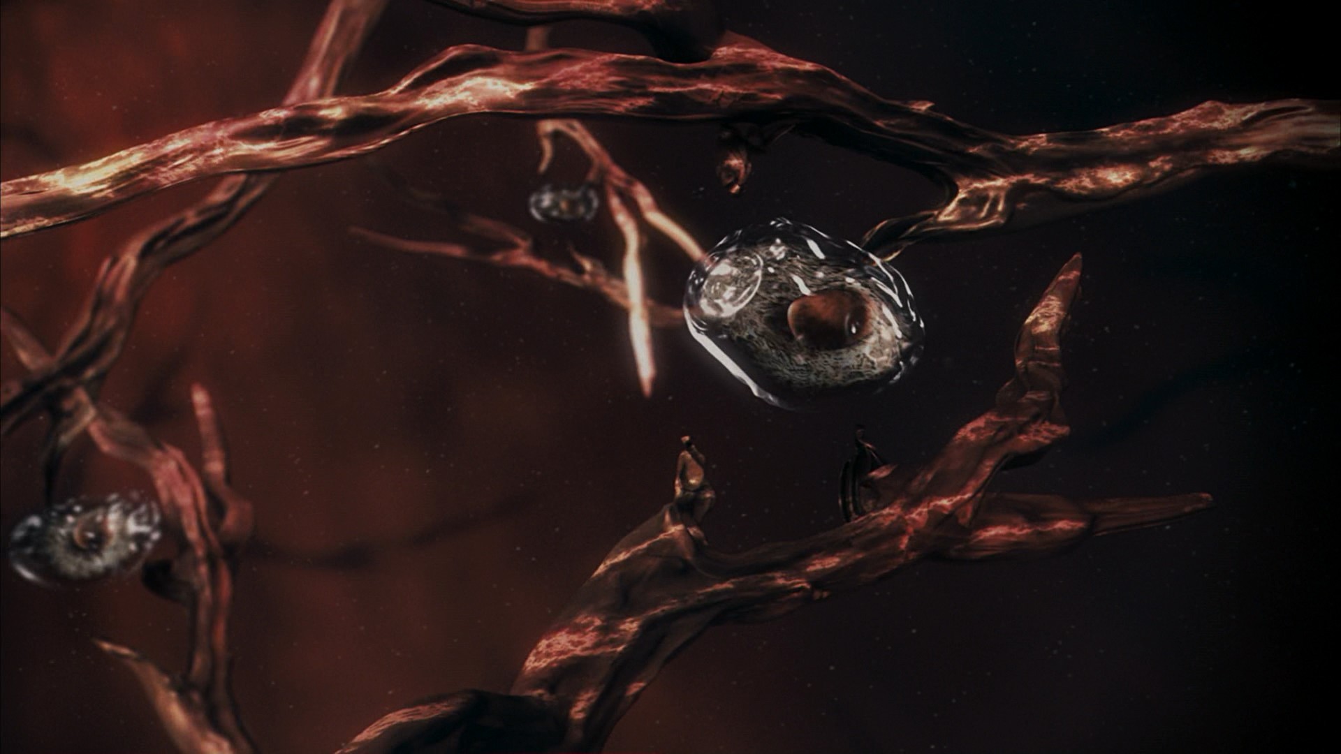 The Invasion (2007) —  shot,  lighting