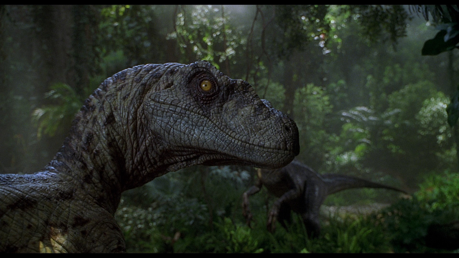 Jurassic Park III (2001) —  shot,  lighting