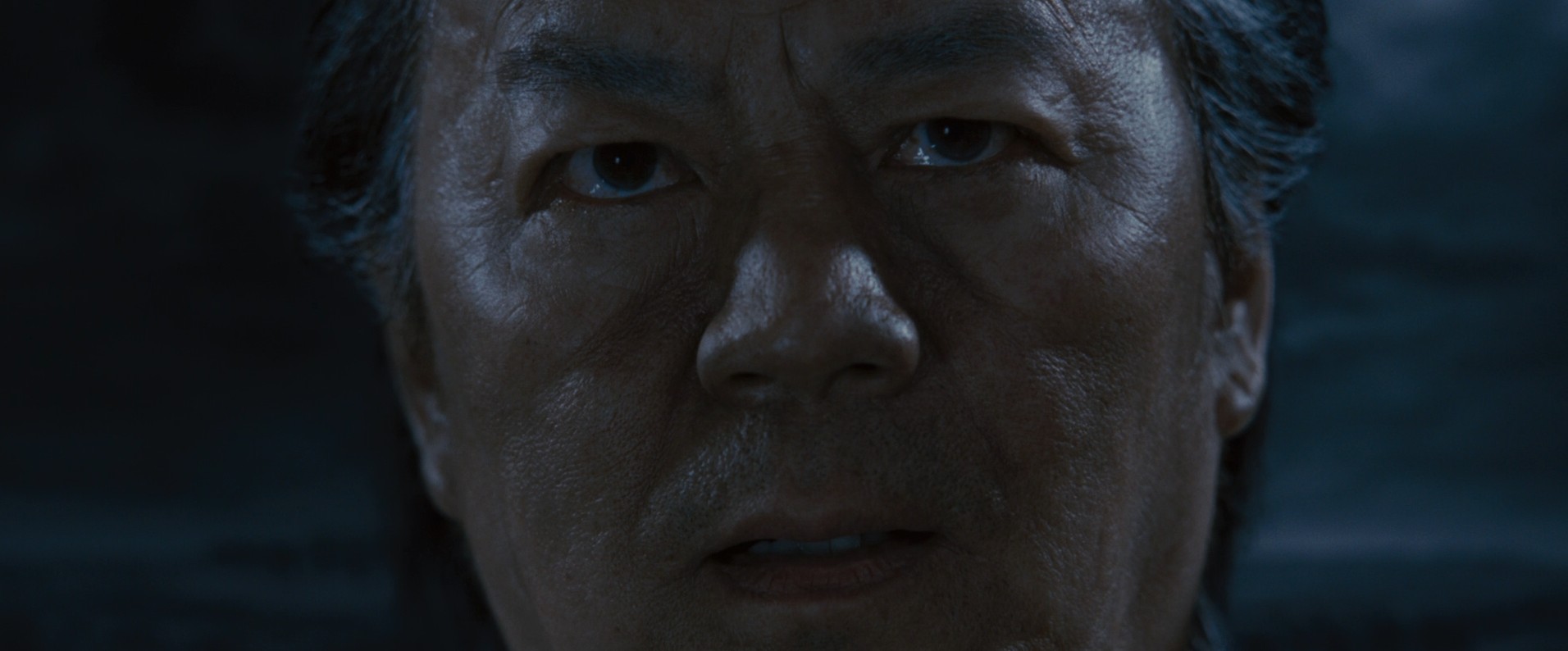 The Warrior's Way (2010) —  shot,  lighting