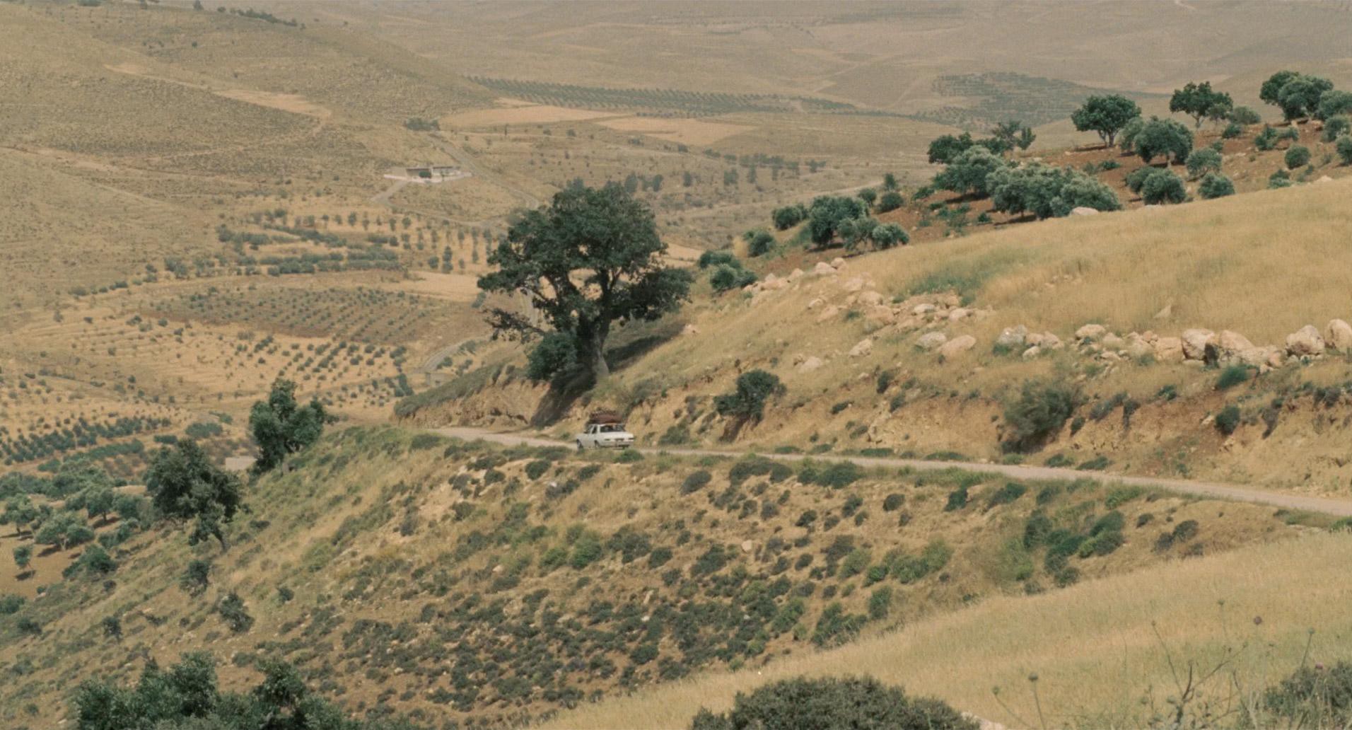 Incendies (2010) —  shot,  lighting