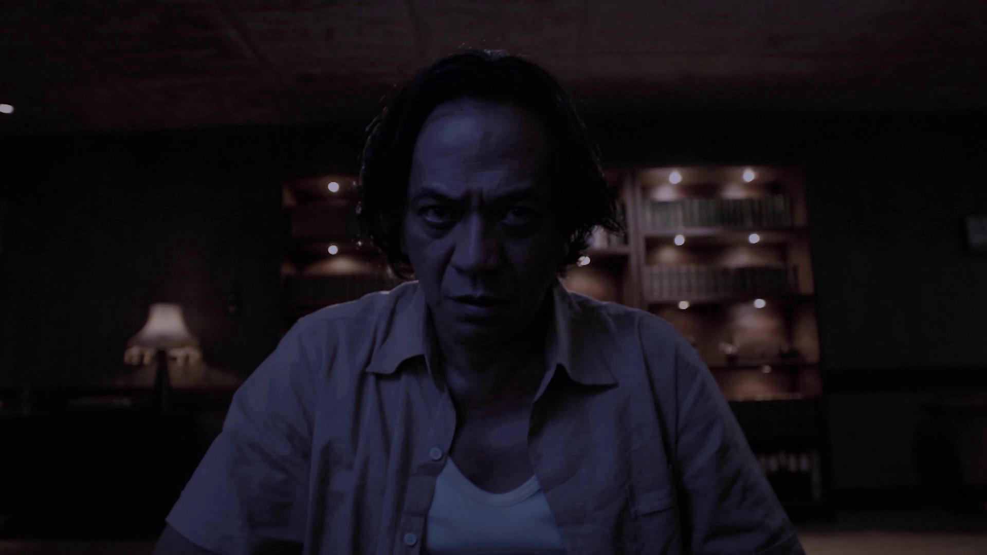 The Raid: Redemption (2011) —  shot,  lighting