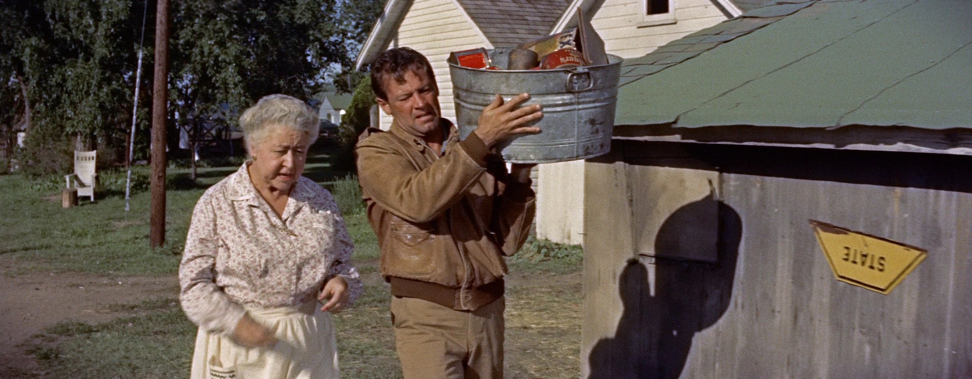 Picnic (1956) —  shot,  lighting
