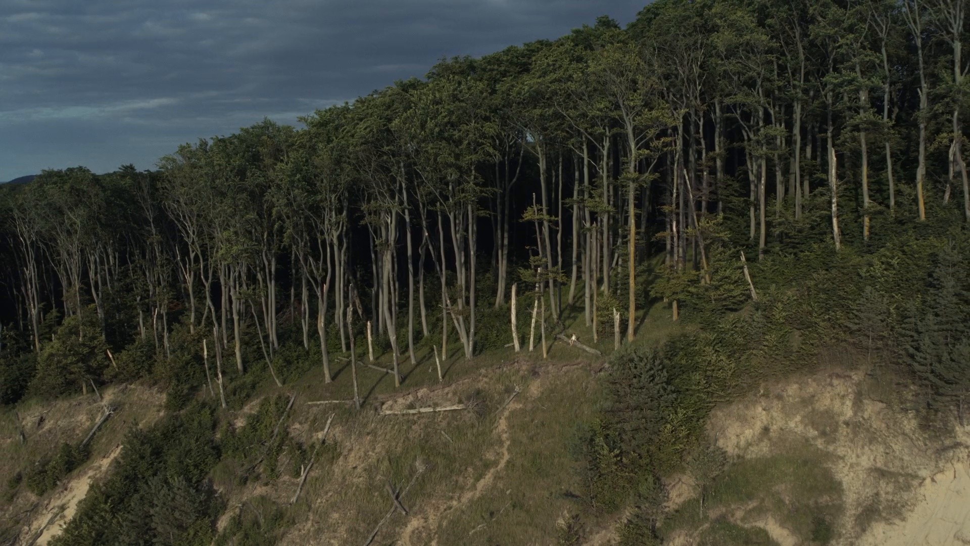 The Tales of Time DirCut (2022) —  shot,  lighting