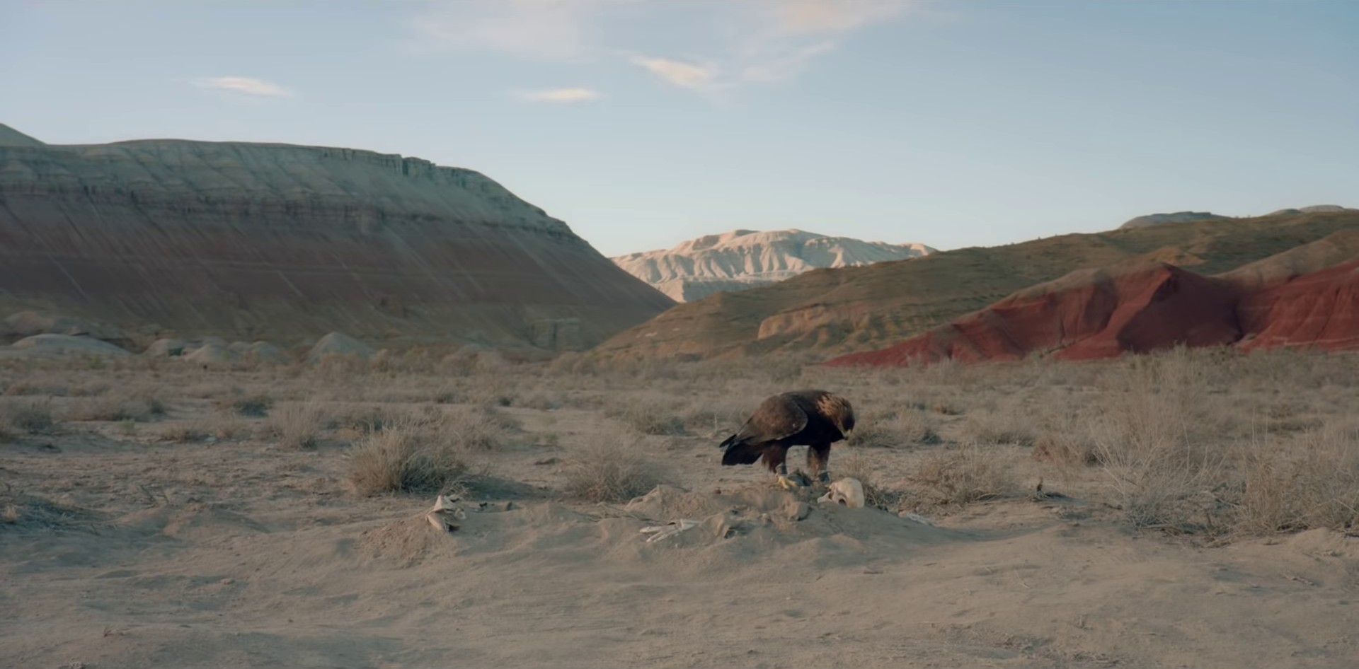 Britney (2018) —  shot,  lighting