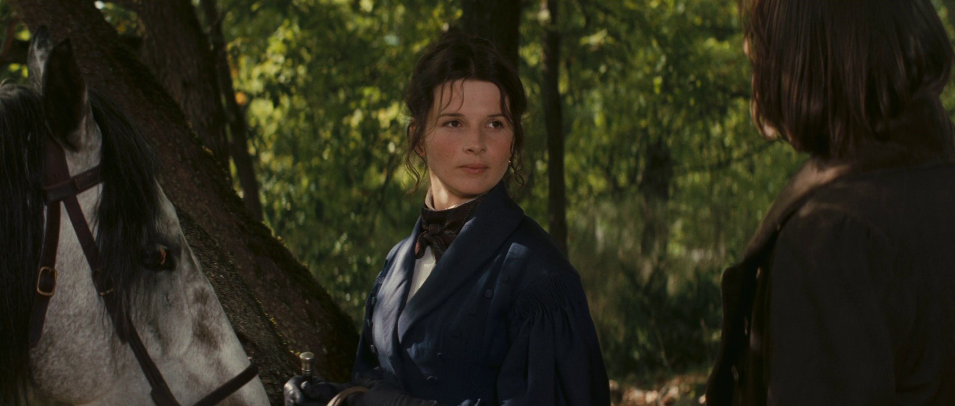 The Horseman on the Roof (1995) —  shot,  lighting