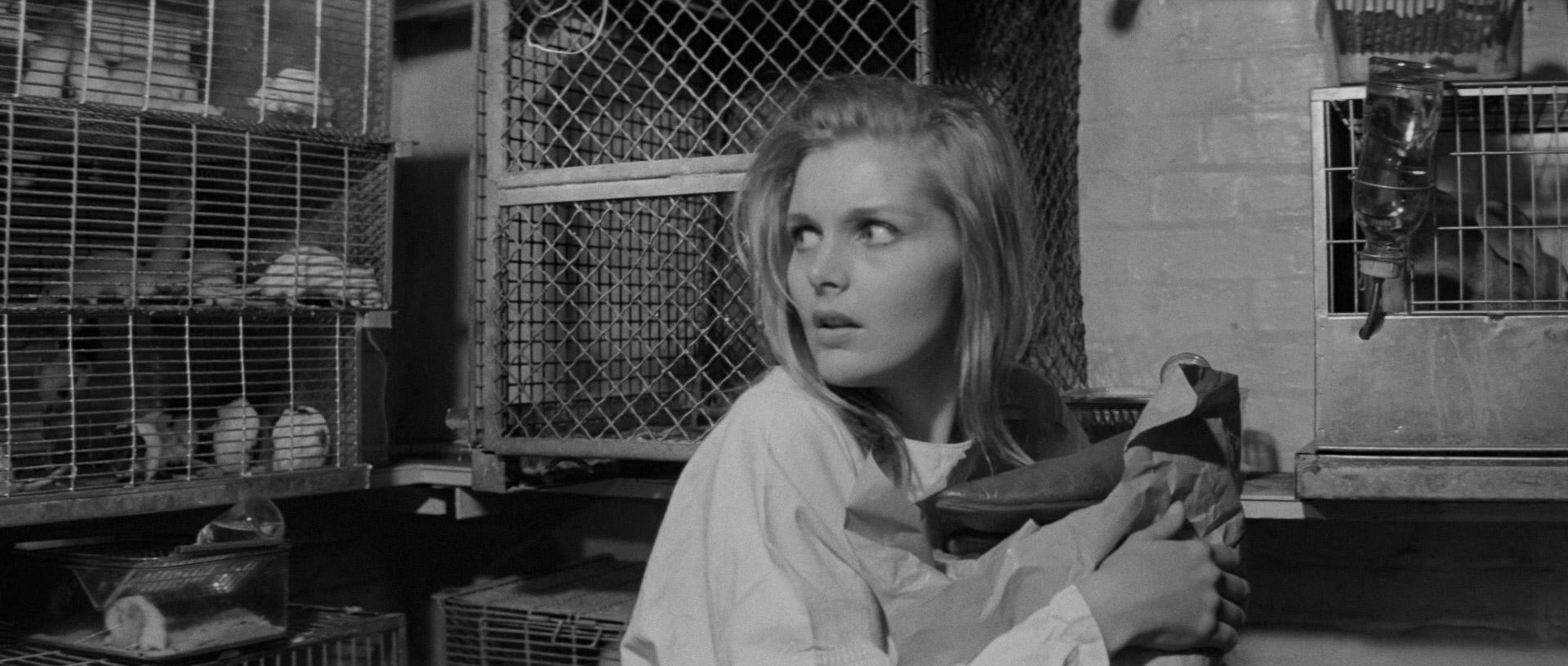 Bunny Lake Is Missing (1965) —  shot,  lighting