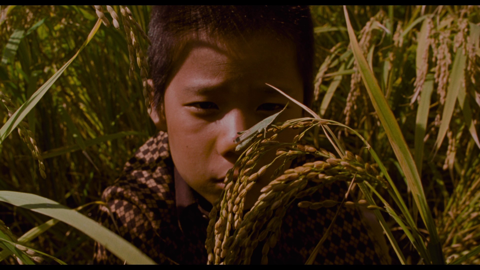 Memories of Murder (2003) —  shot,  lighting