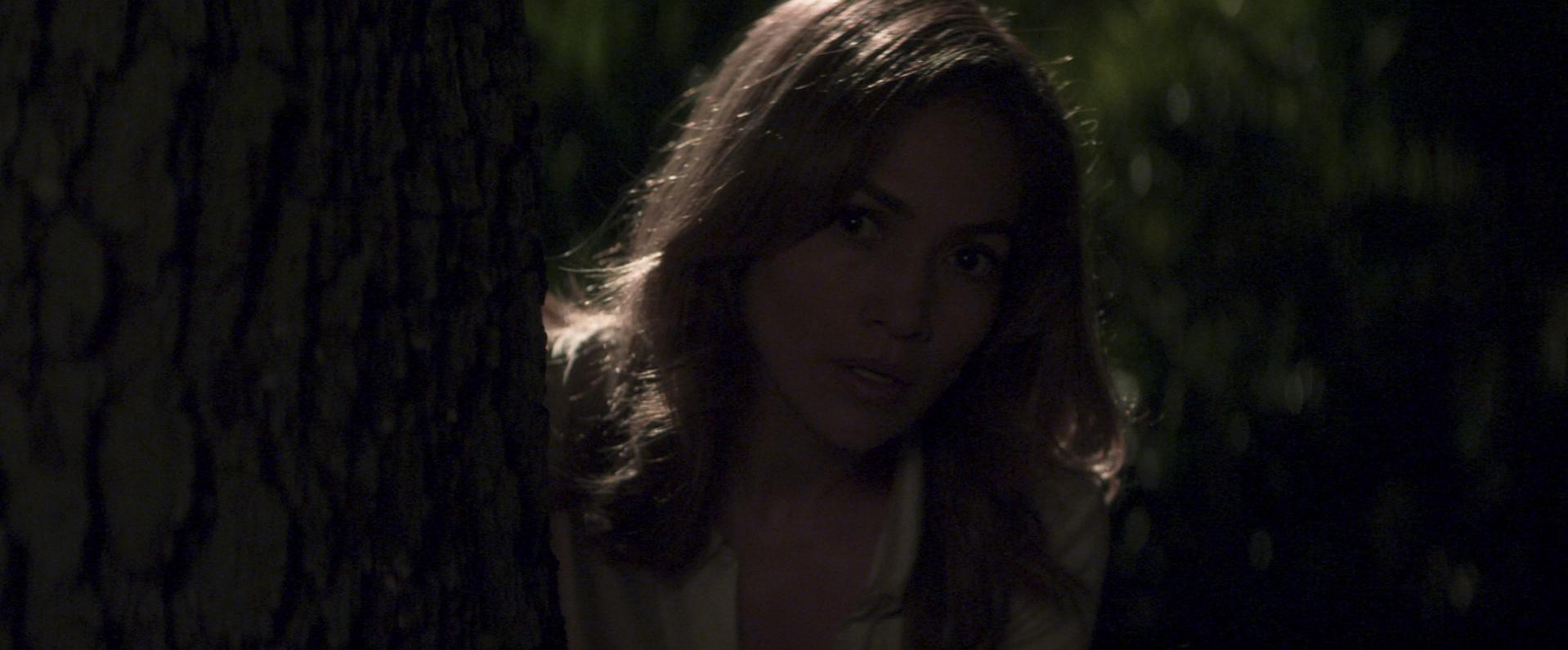 Parker (2013) —  shot,  lighting