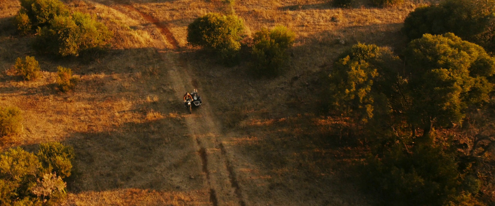 Mia and the White Lion (2018) —  shot,  lighting