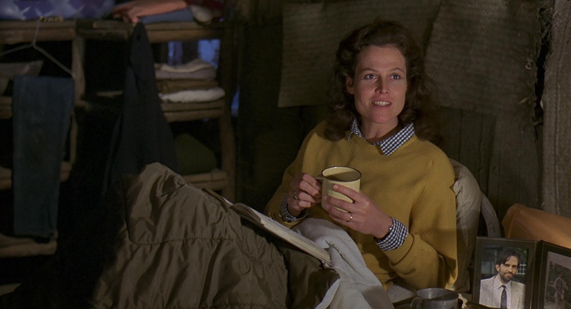 Gorillas in the Mist (1988) —  shot,  lighting