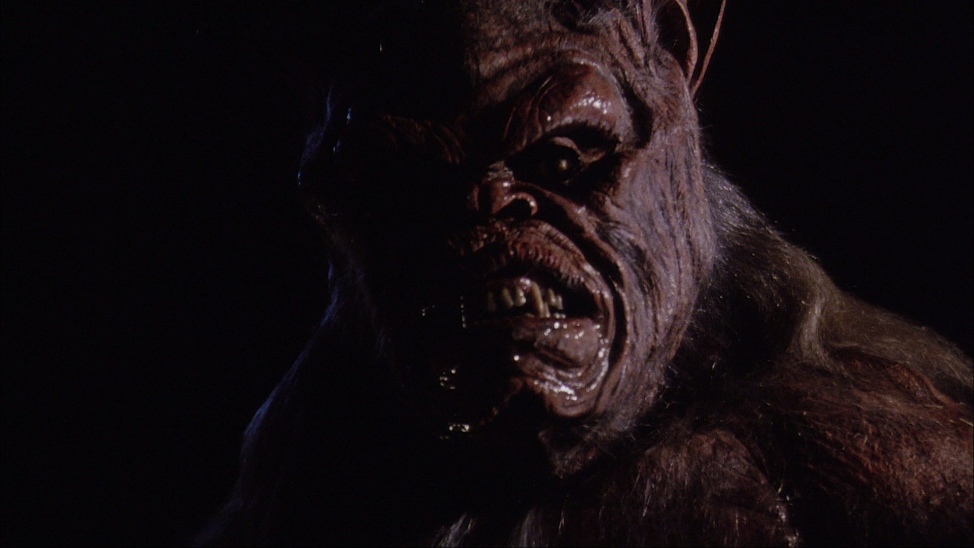 Cellar Dweller (1988) —  shot,  lighting