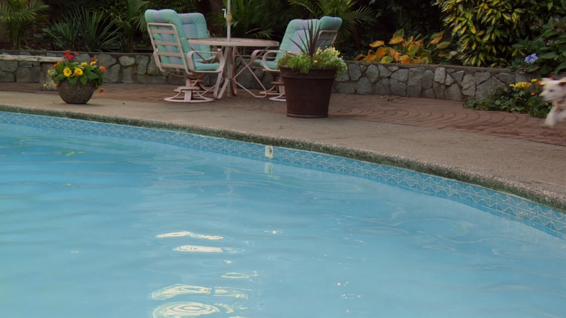 Marley & Me: The Puppy Years (2011) —  shot,  lighting