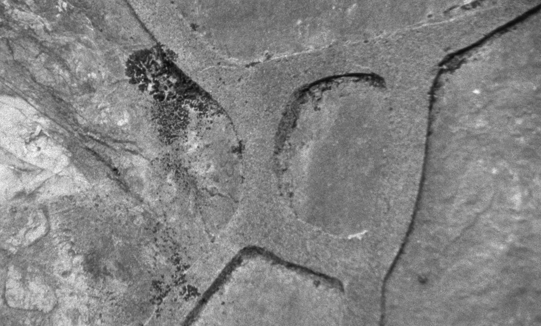 Last and First Men (2020) —  shot,  lighting