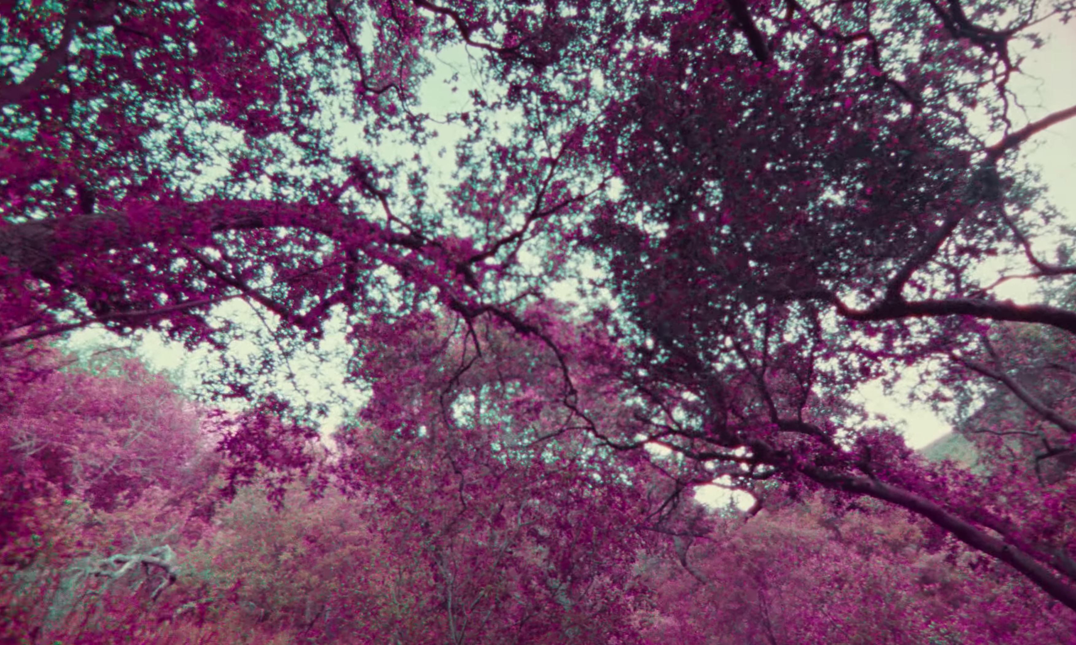 Pretty girls (2023) —  shot,  lighting