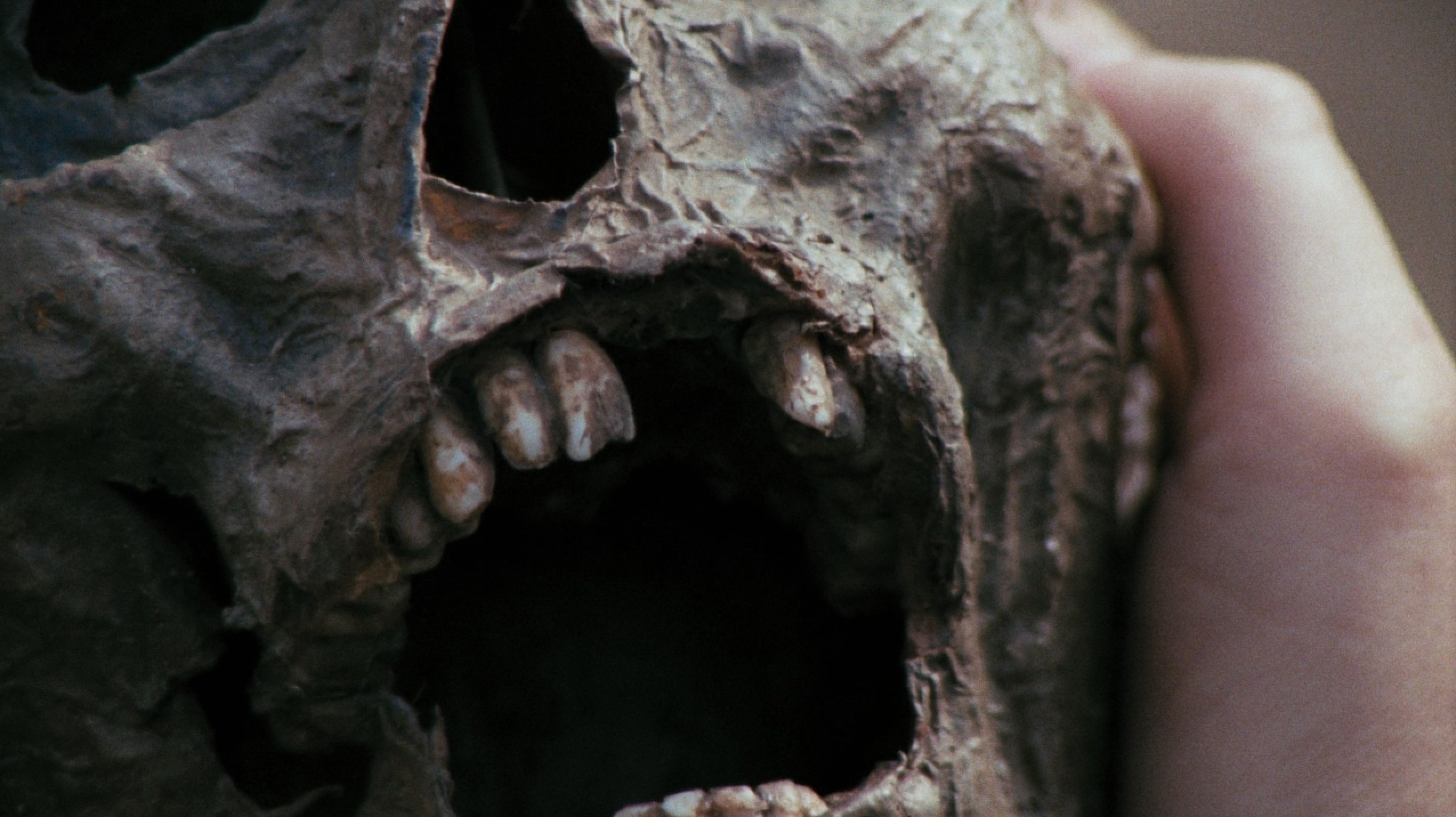 Schlock (1973) —  shot,  lighting