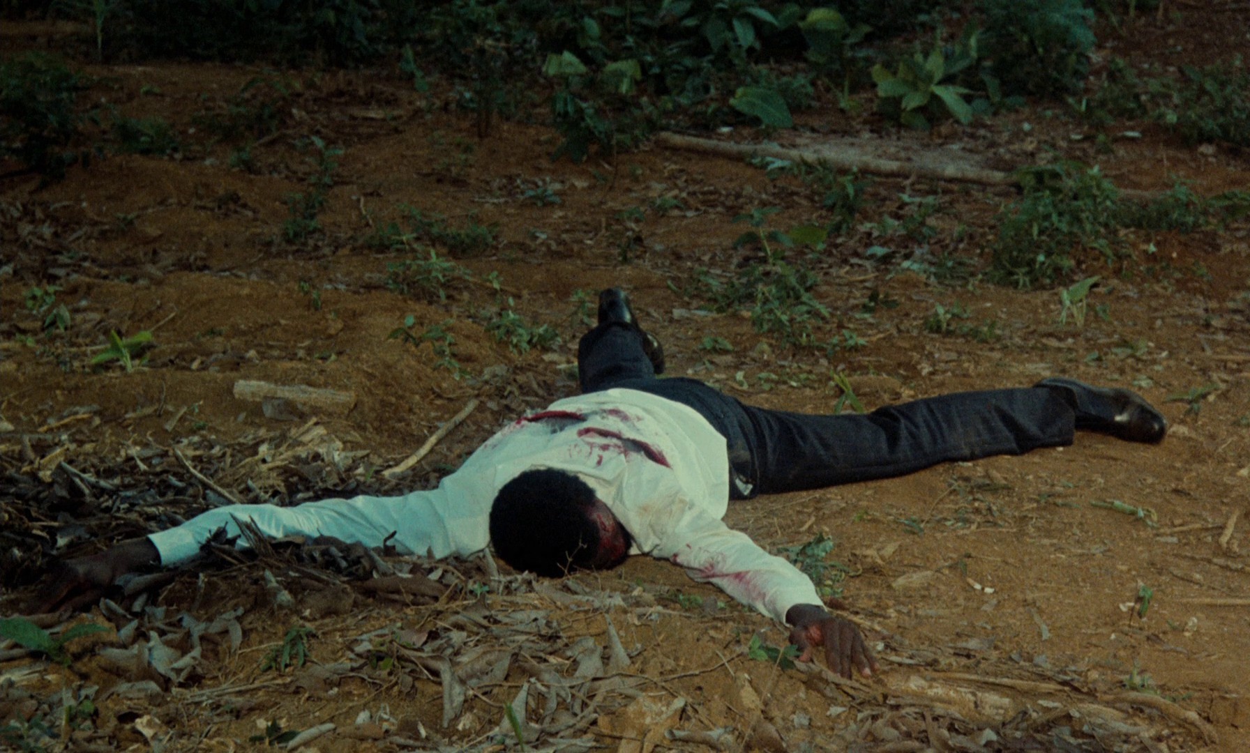 L'état sauvage (1978) —  shot,  lighting